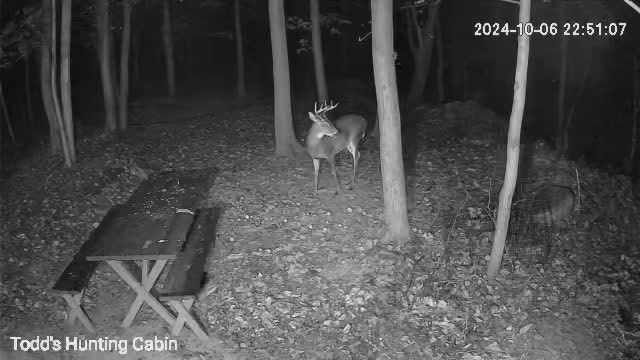 Tj's Country Camp Site