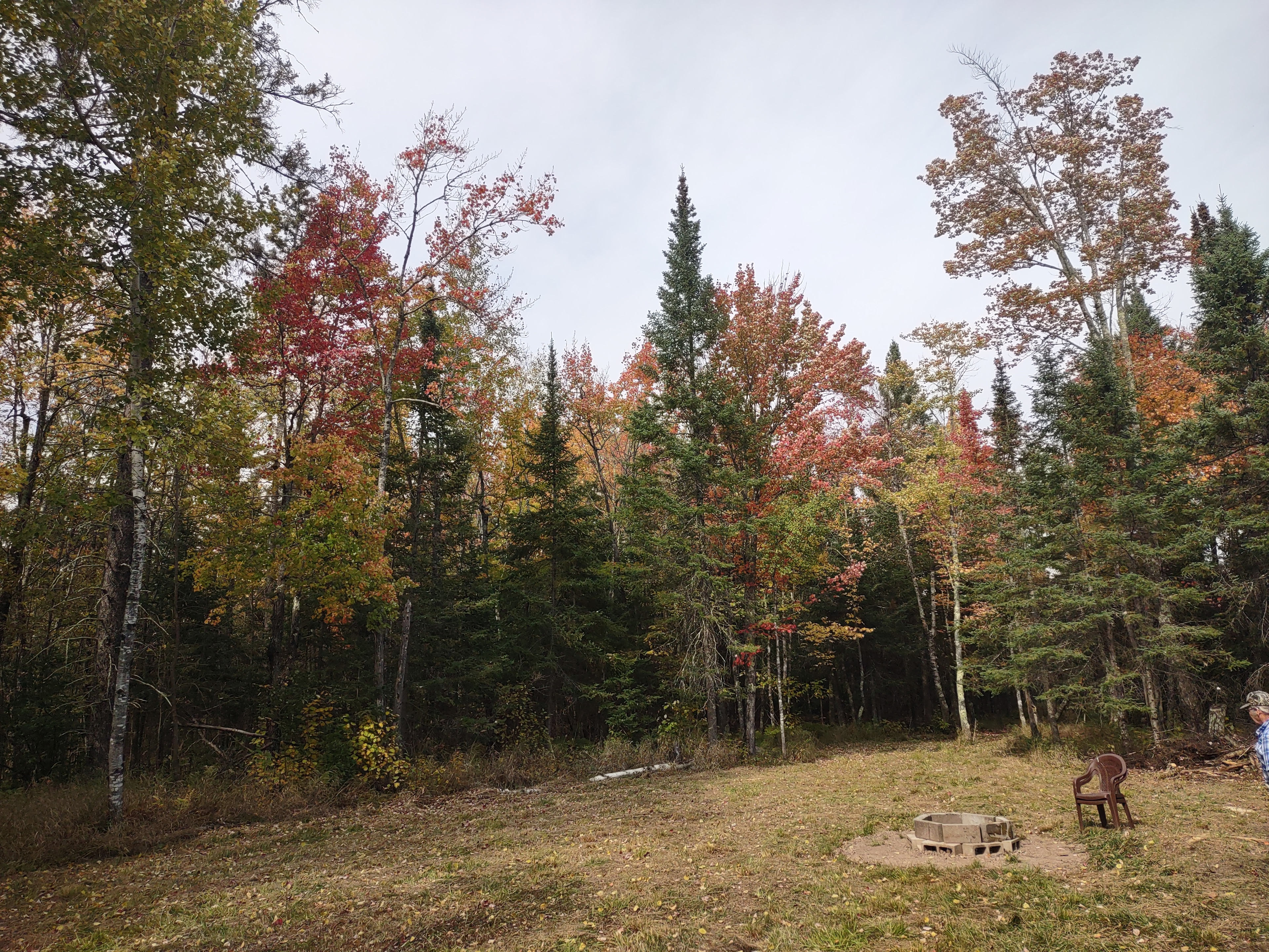 Whispering Pines