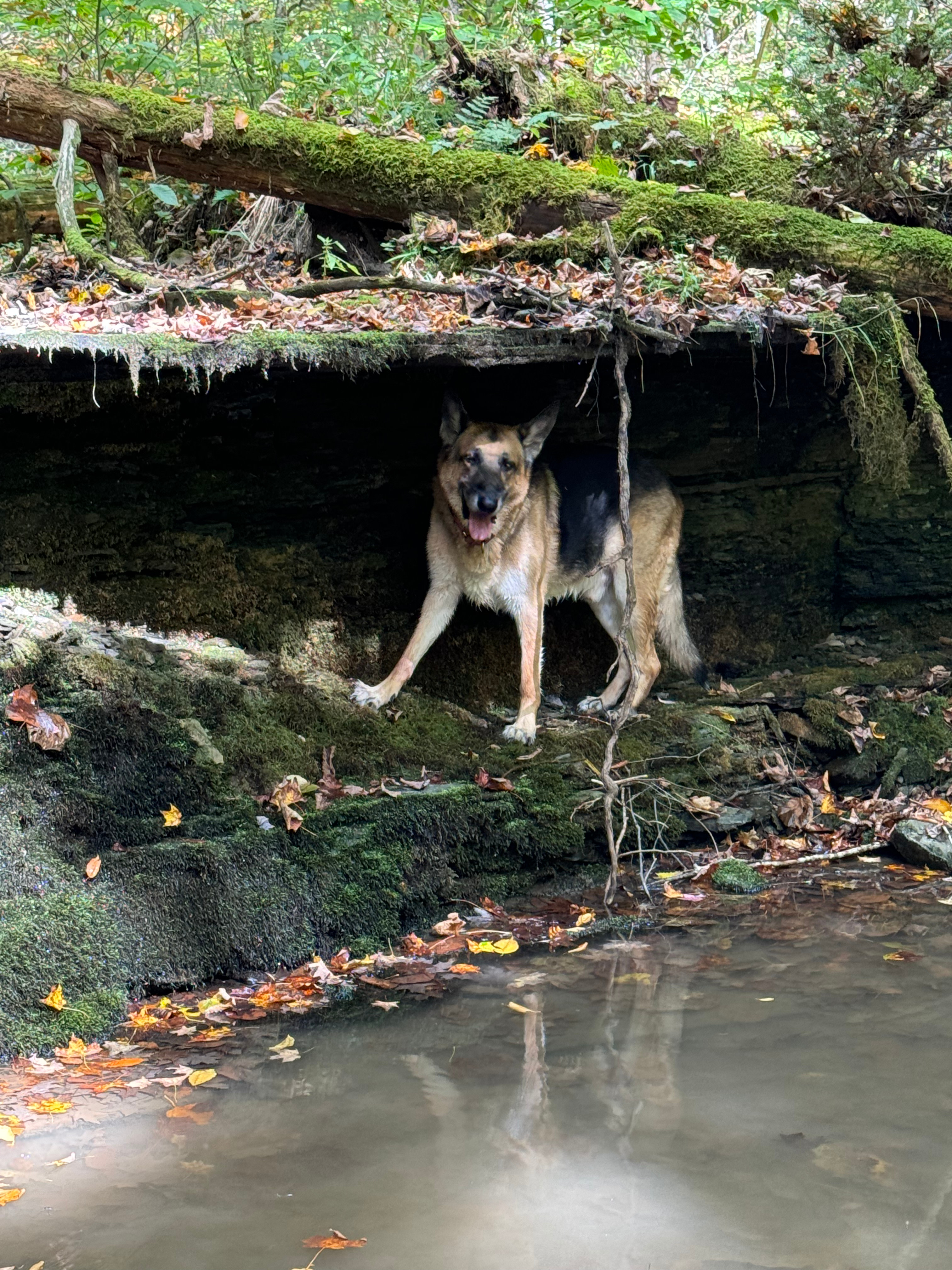 What Ever Floats Your Boat