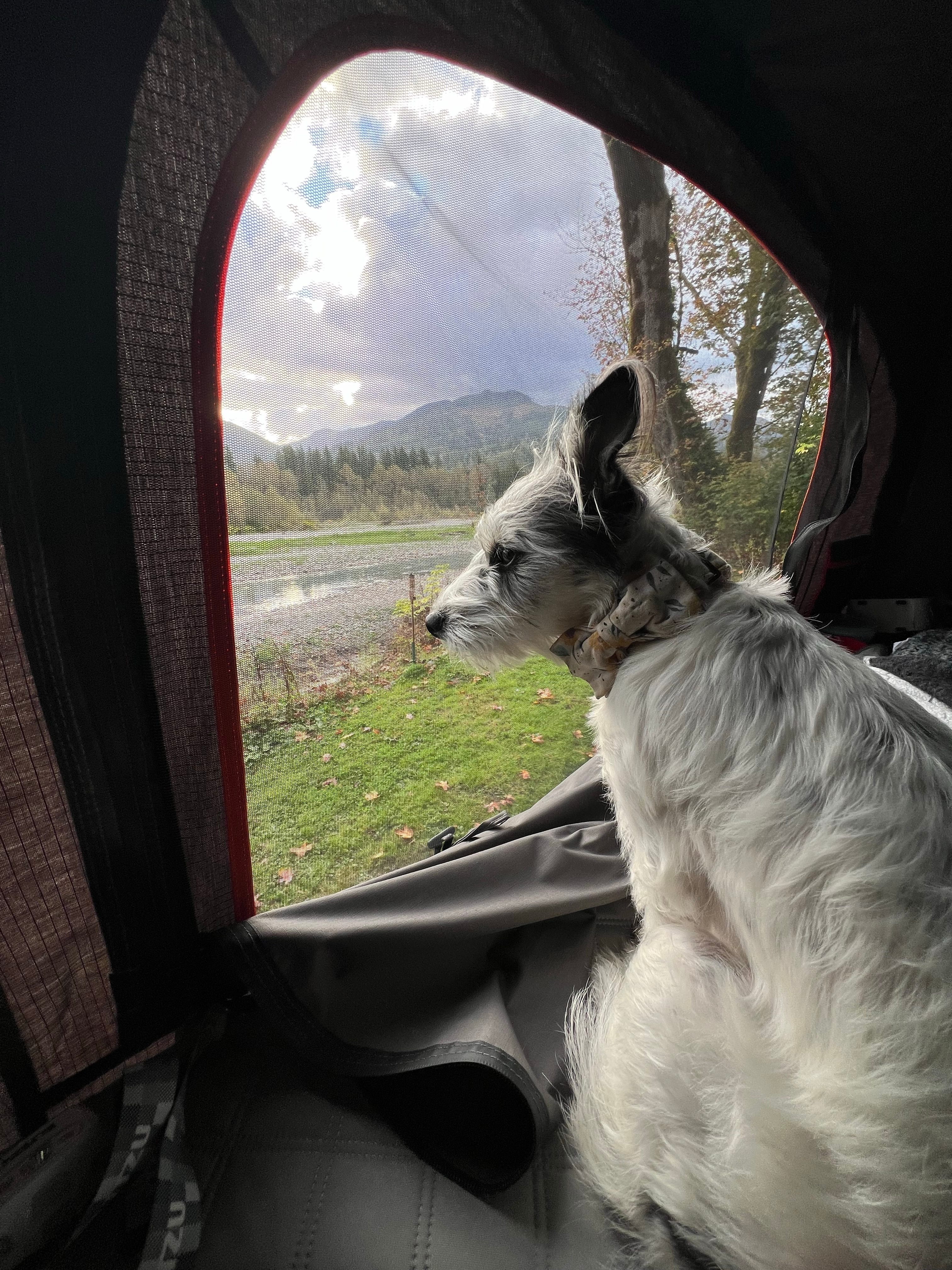 Contributaries - Riverside Retreat