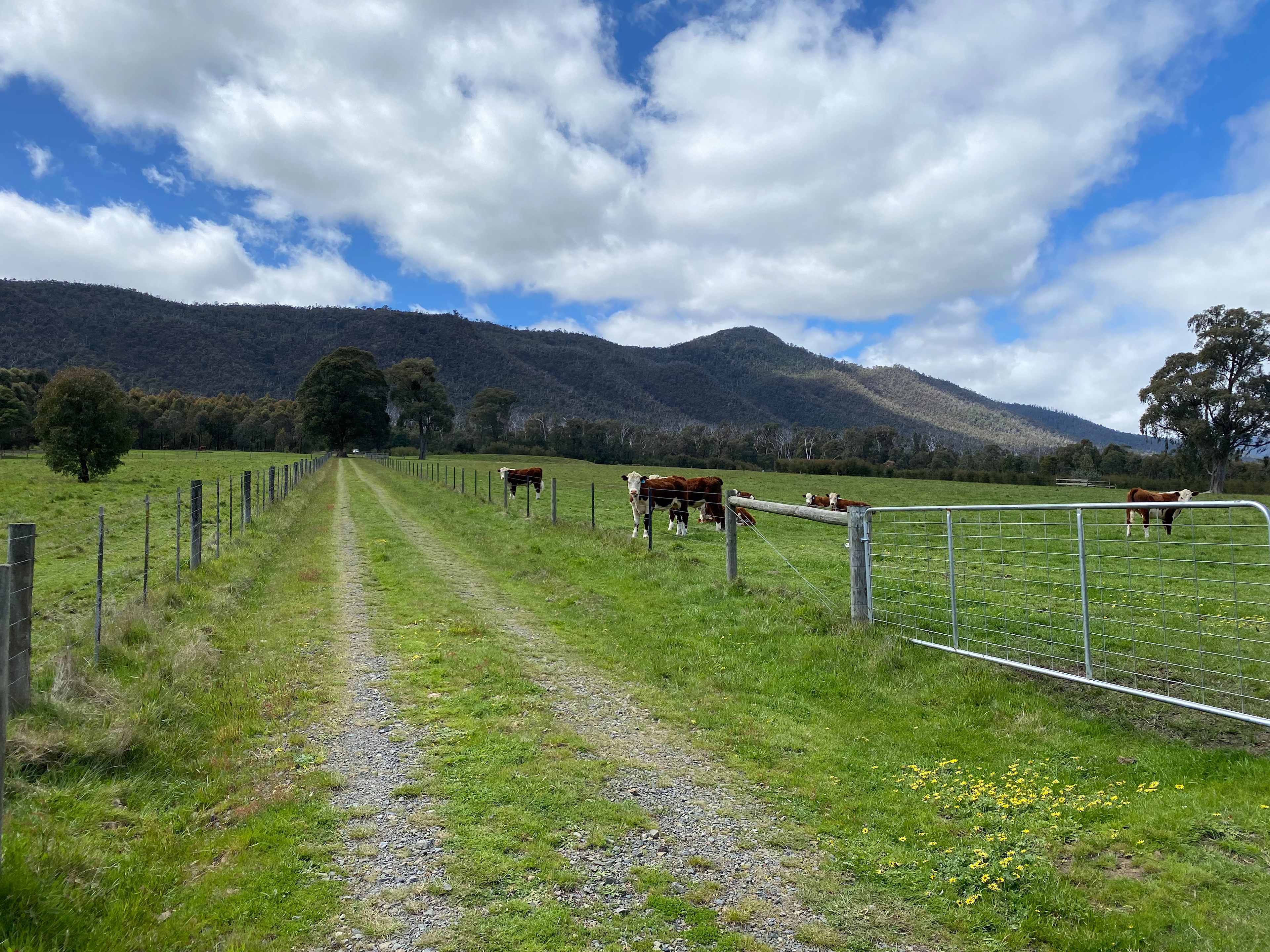 Driveway up to the campsite