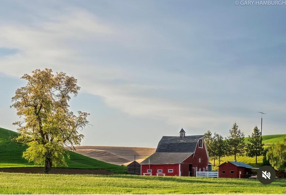 Buck Canyon Barn