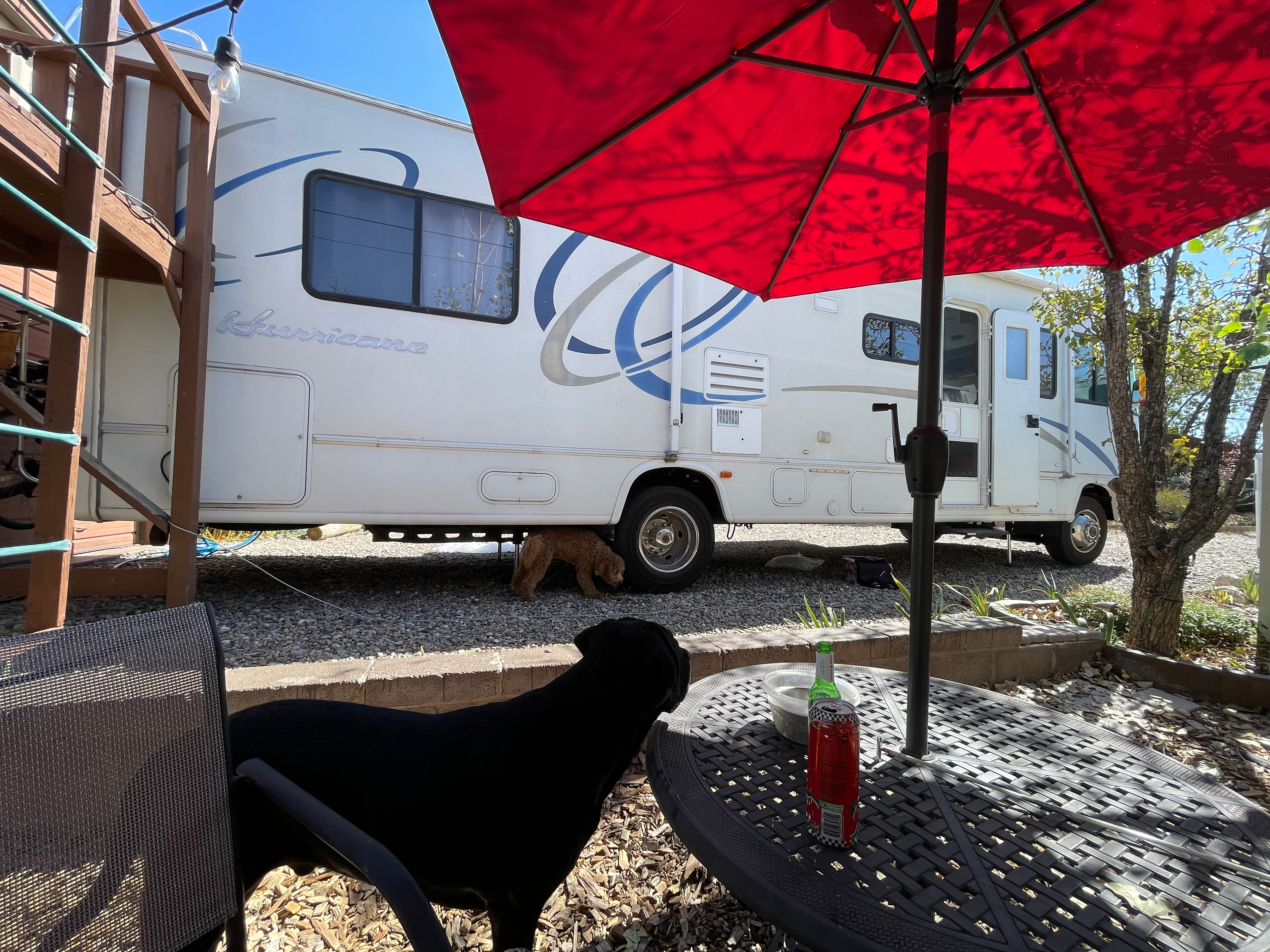 The spot had a table and chairs and even a dog run.