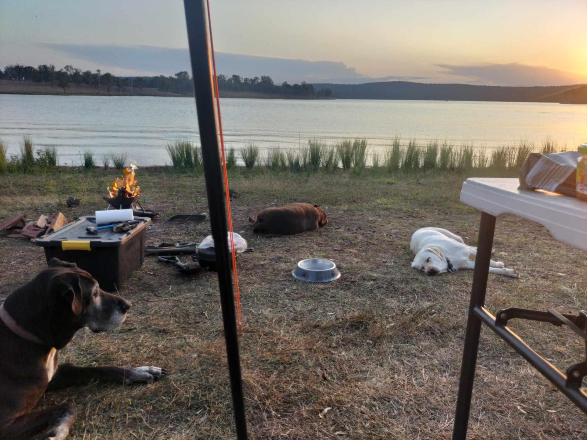 Hidden Gold Homestead