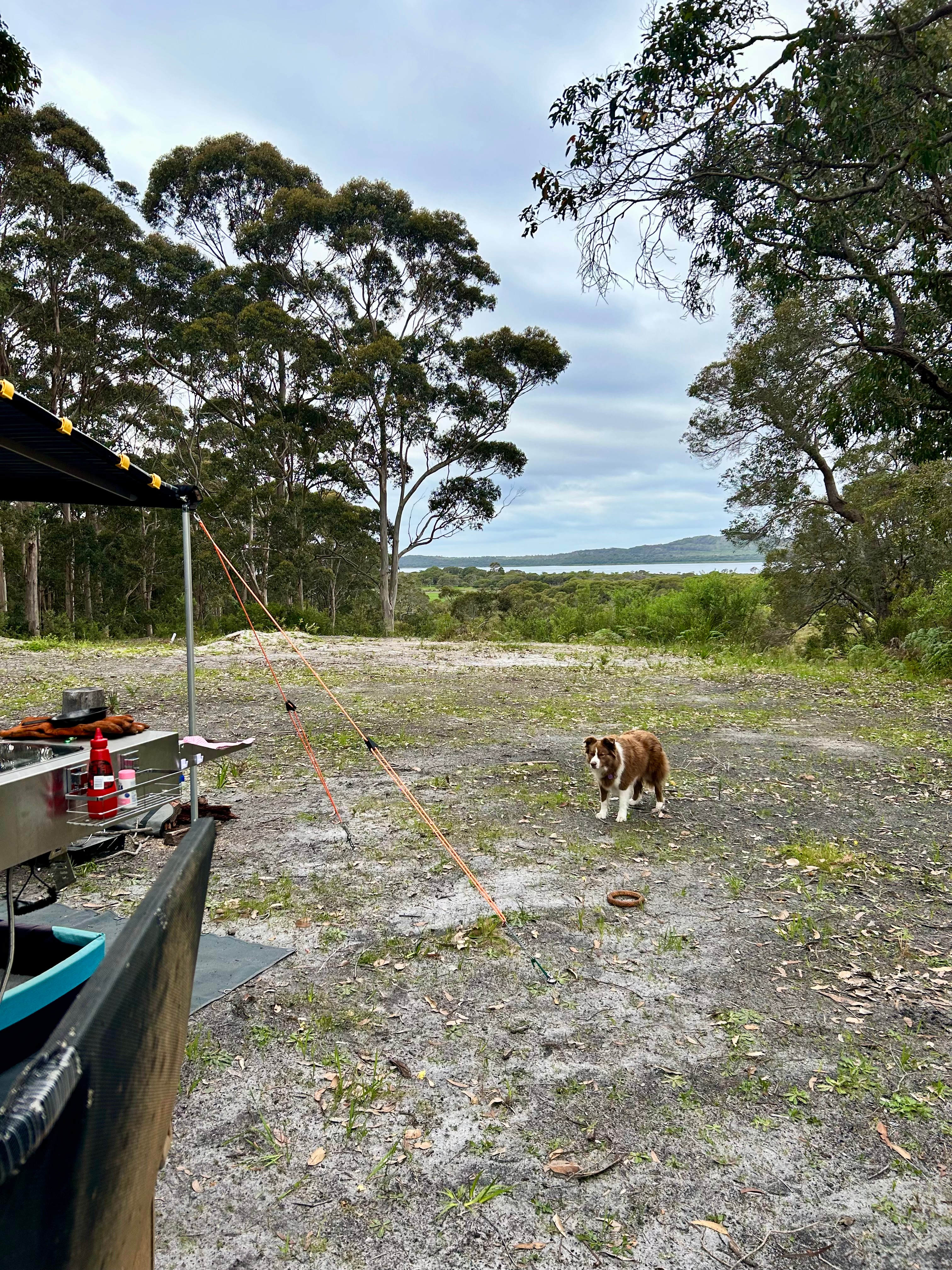 View over towards Irwin Inlet. 