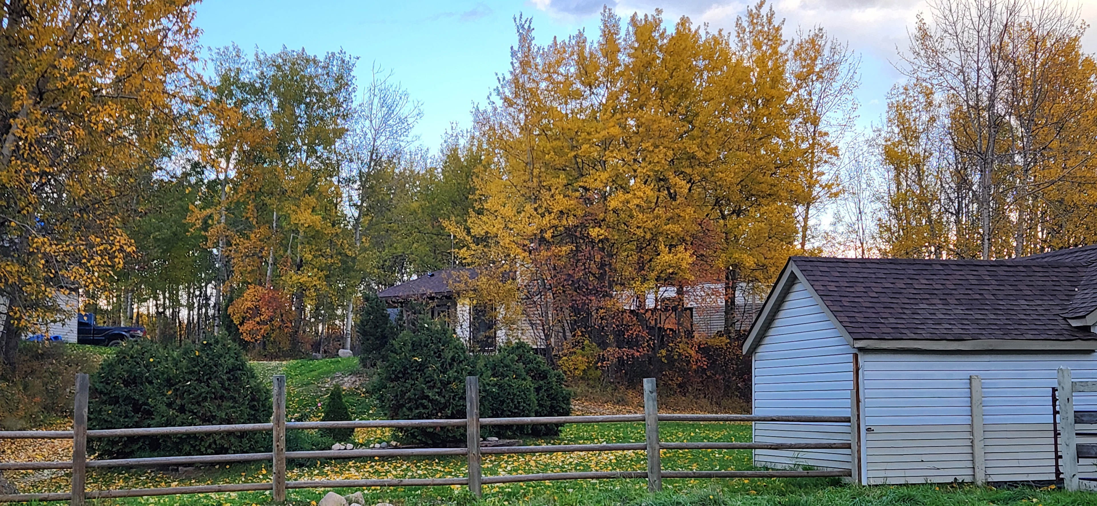 The main yard. Beautiful fall colors. 