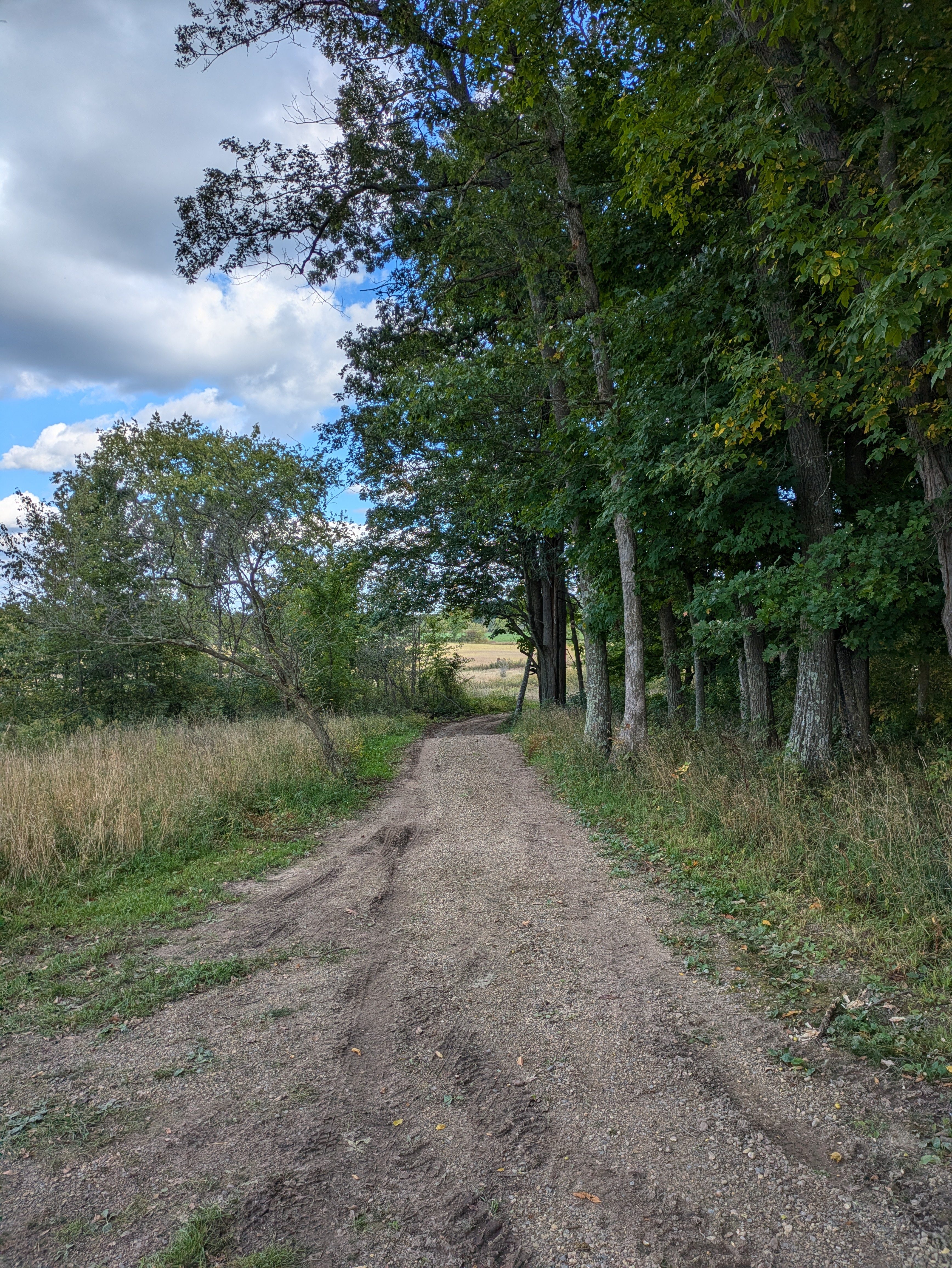 Secluded Ice Age Trail Camping