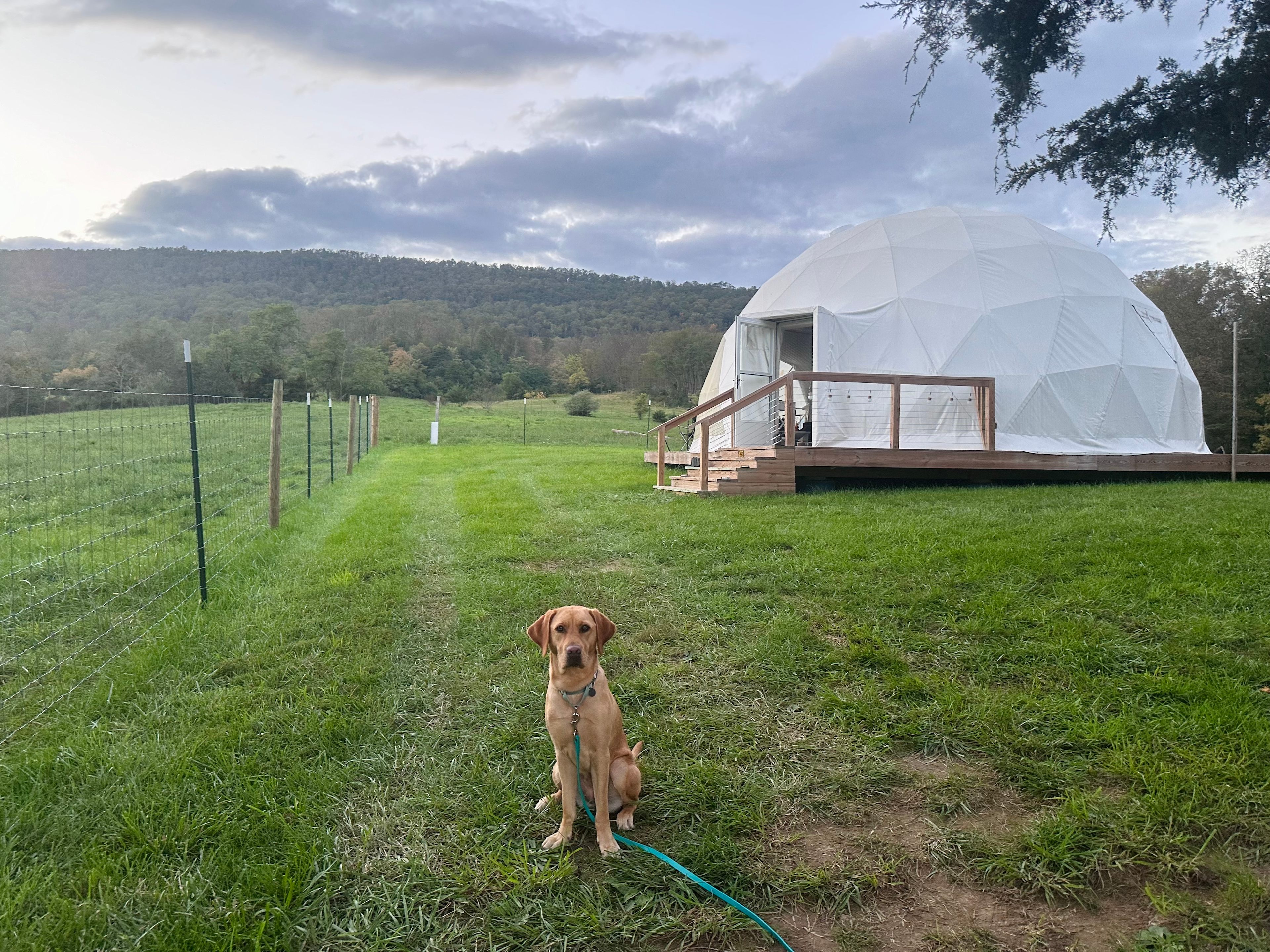 Our Farm in Strasburg, VA