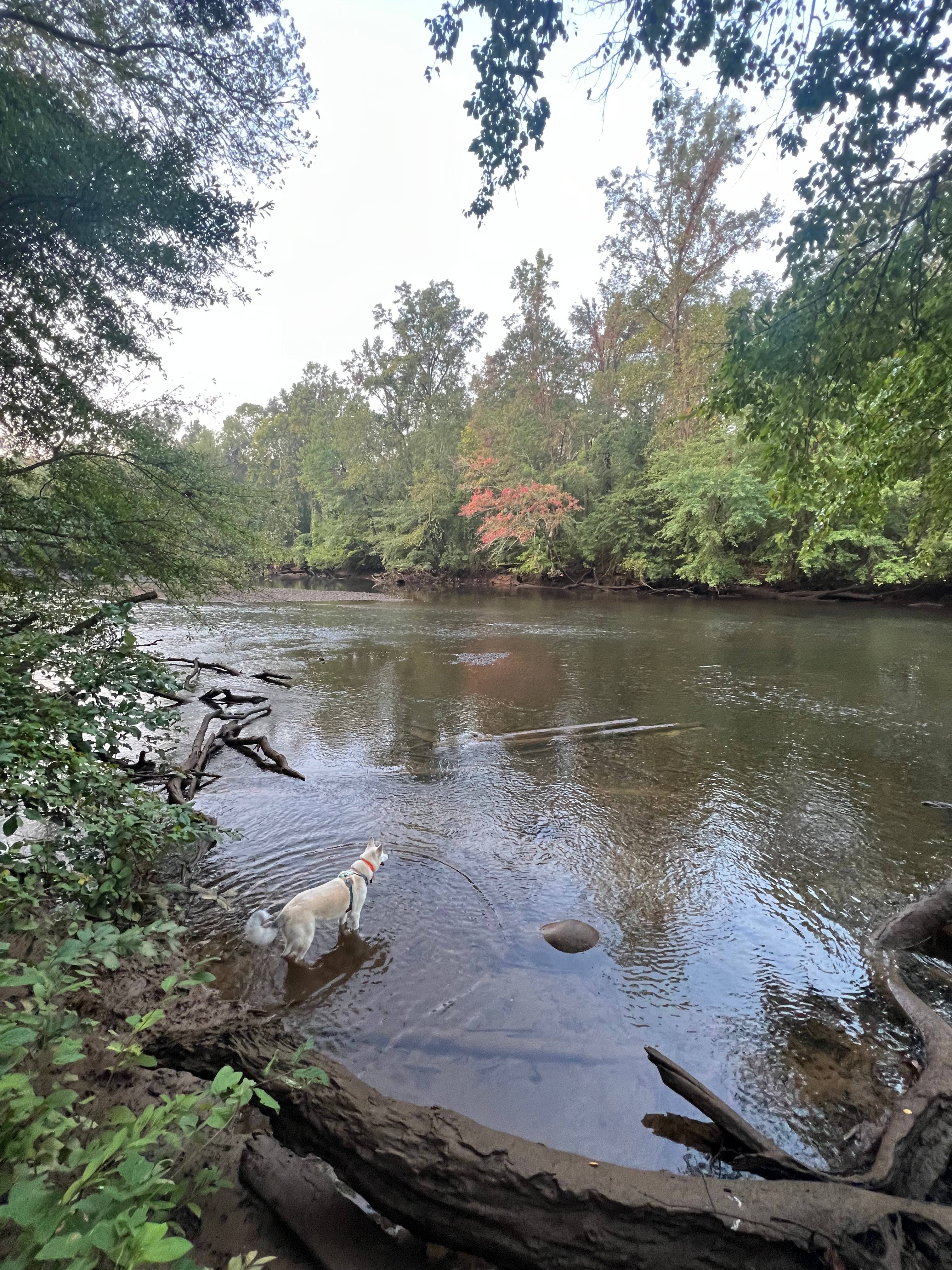 Sugarloafers on the Lower Ocoee