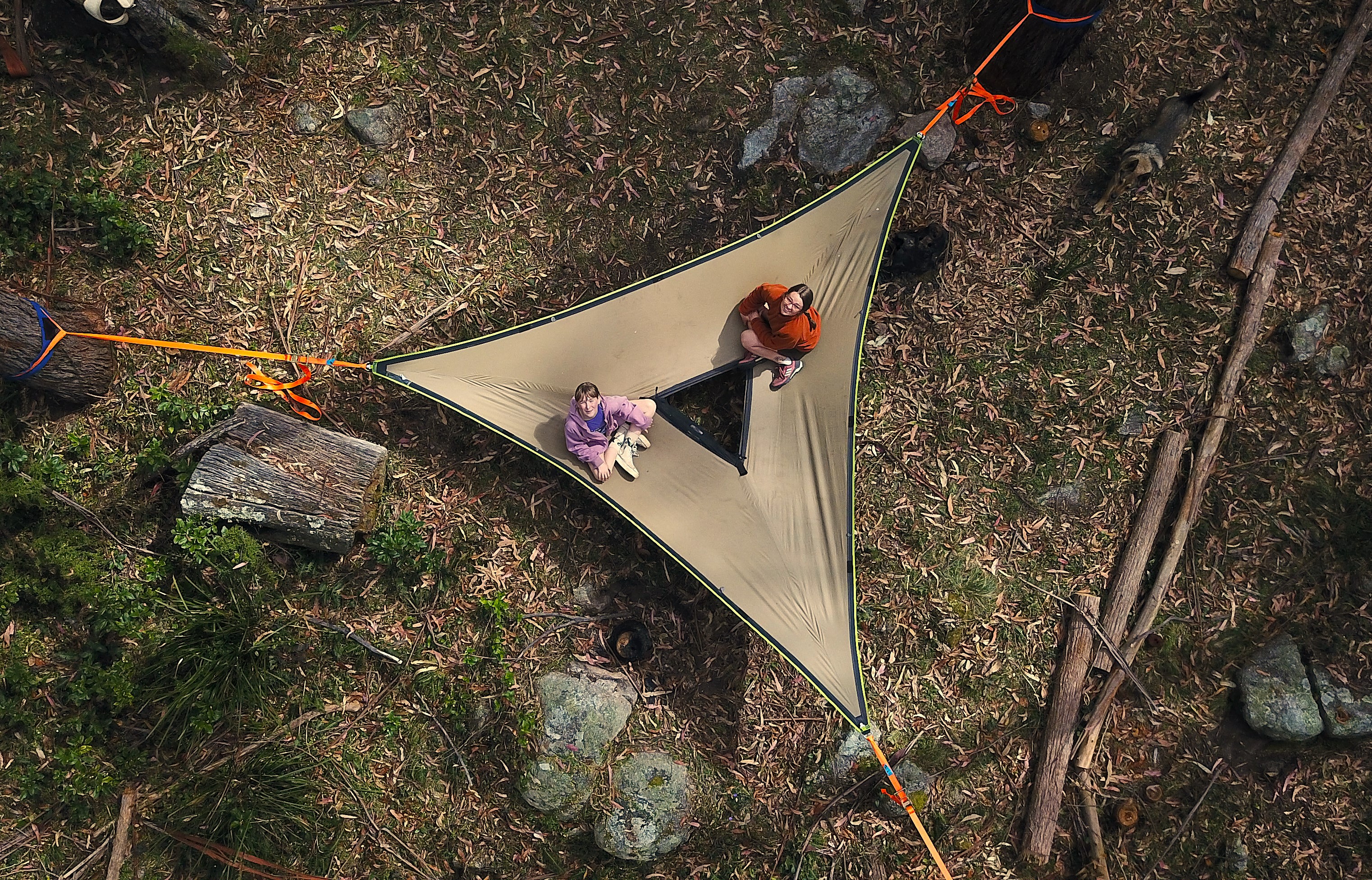 Tree Hammock!