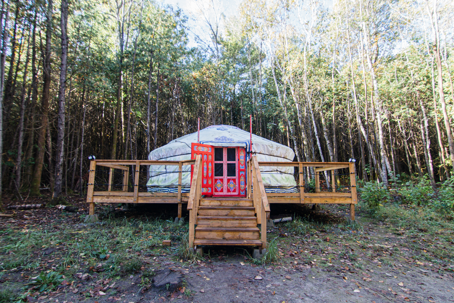 Treefrog Retreat