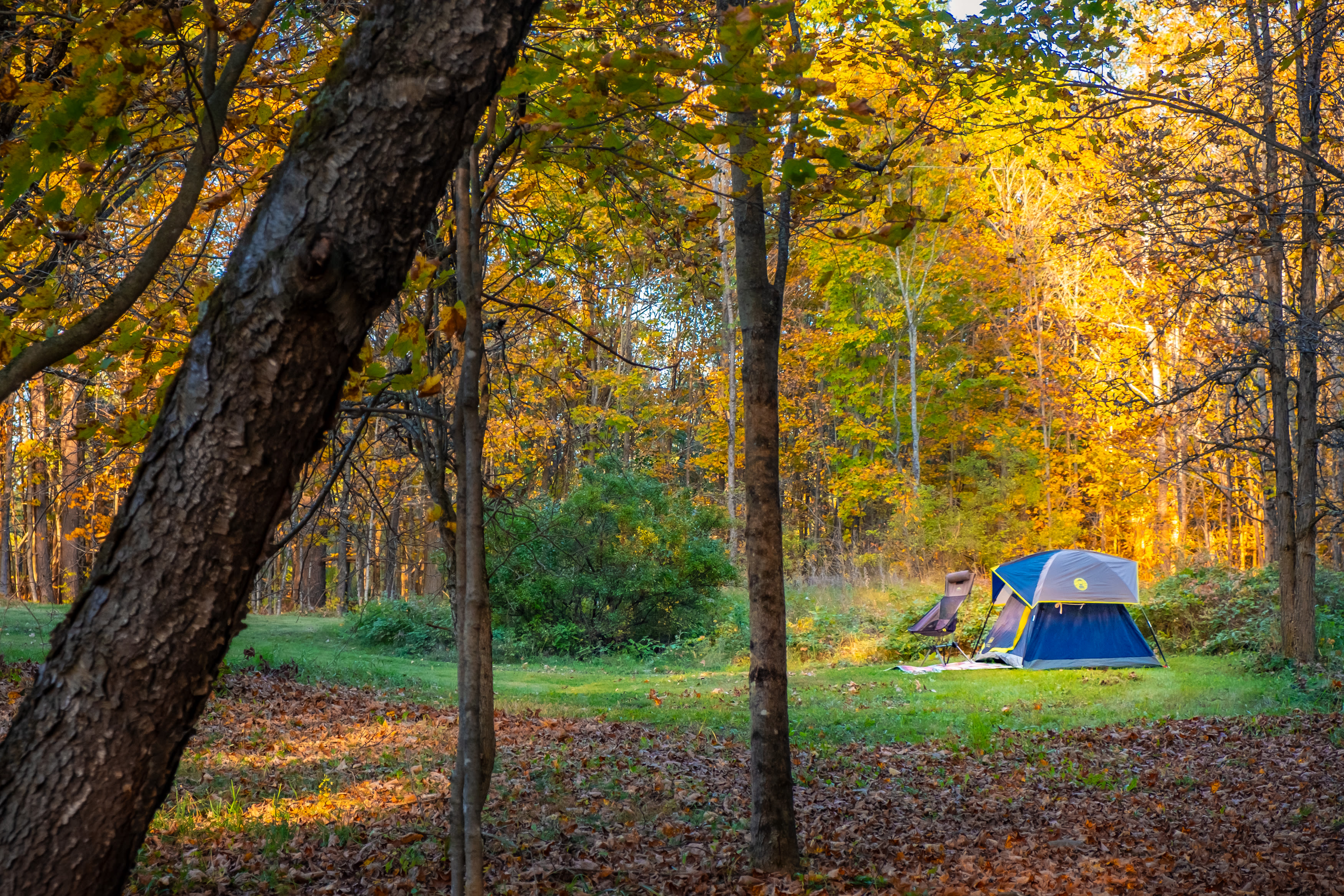 Tent spot.