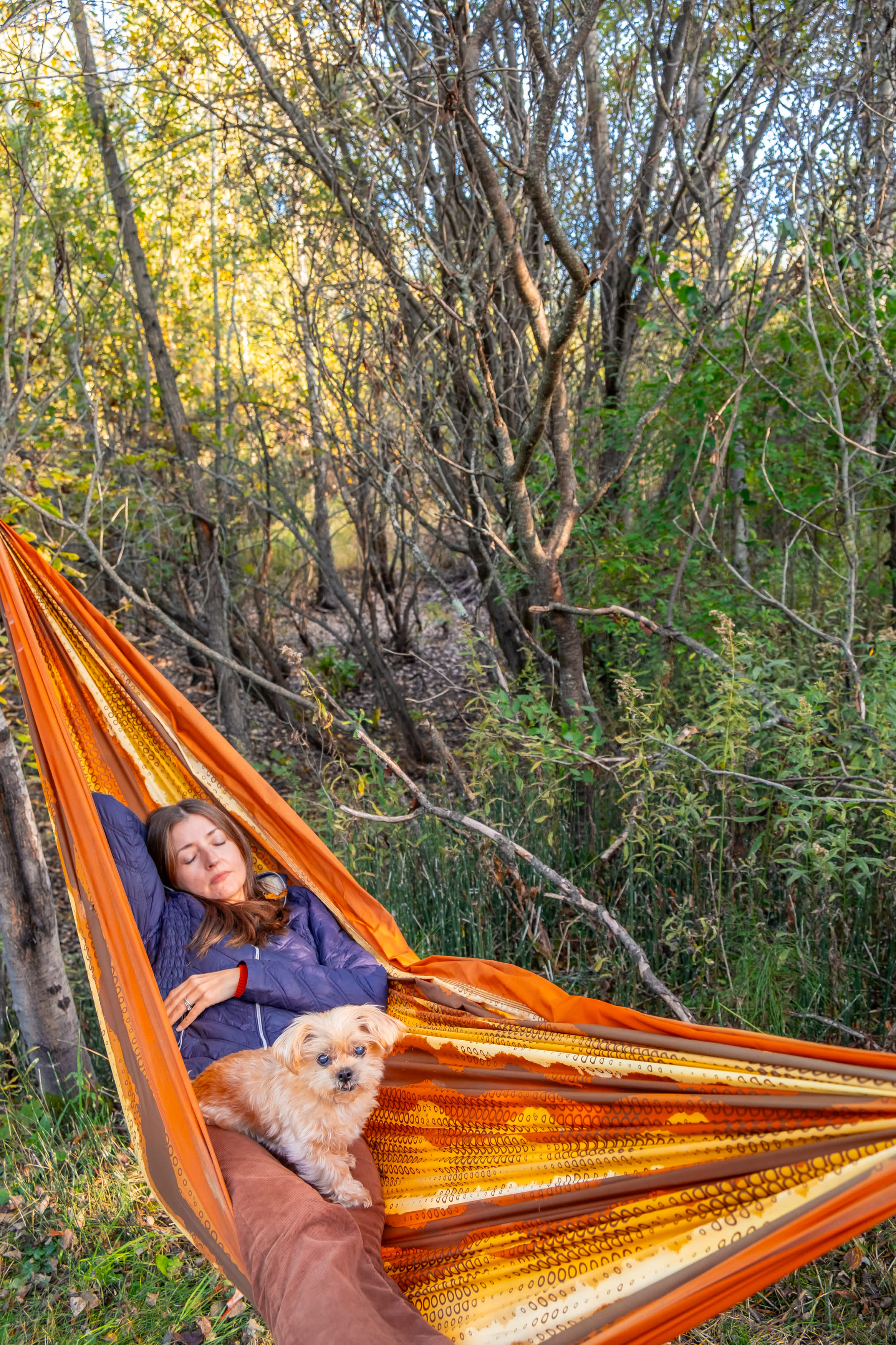 Napping in the hammock.