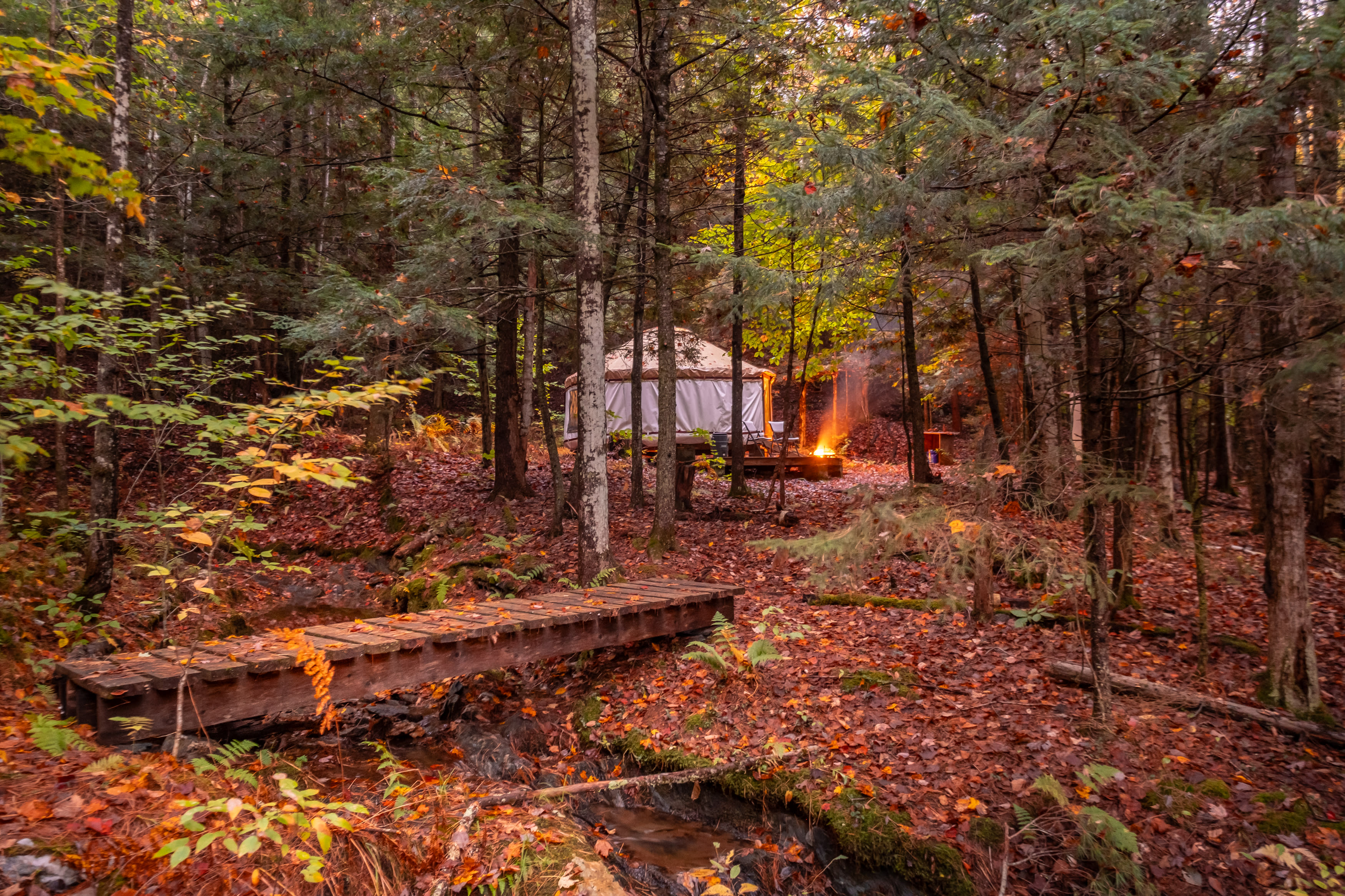 Little bridge to cross the brook to the yurt.