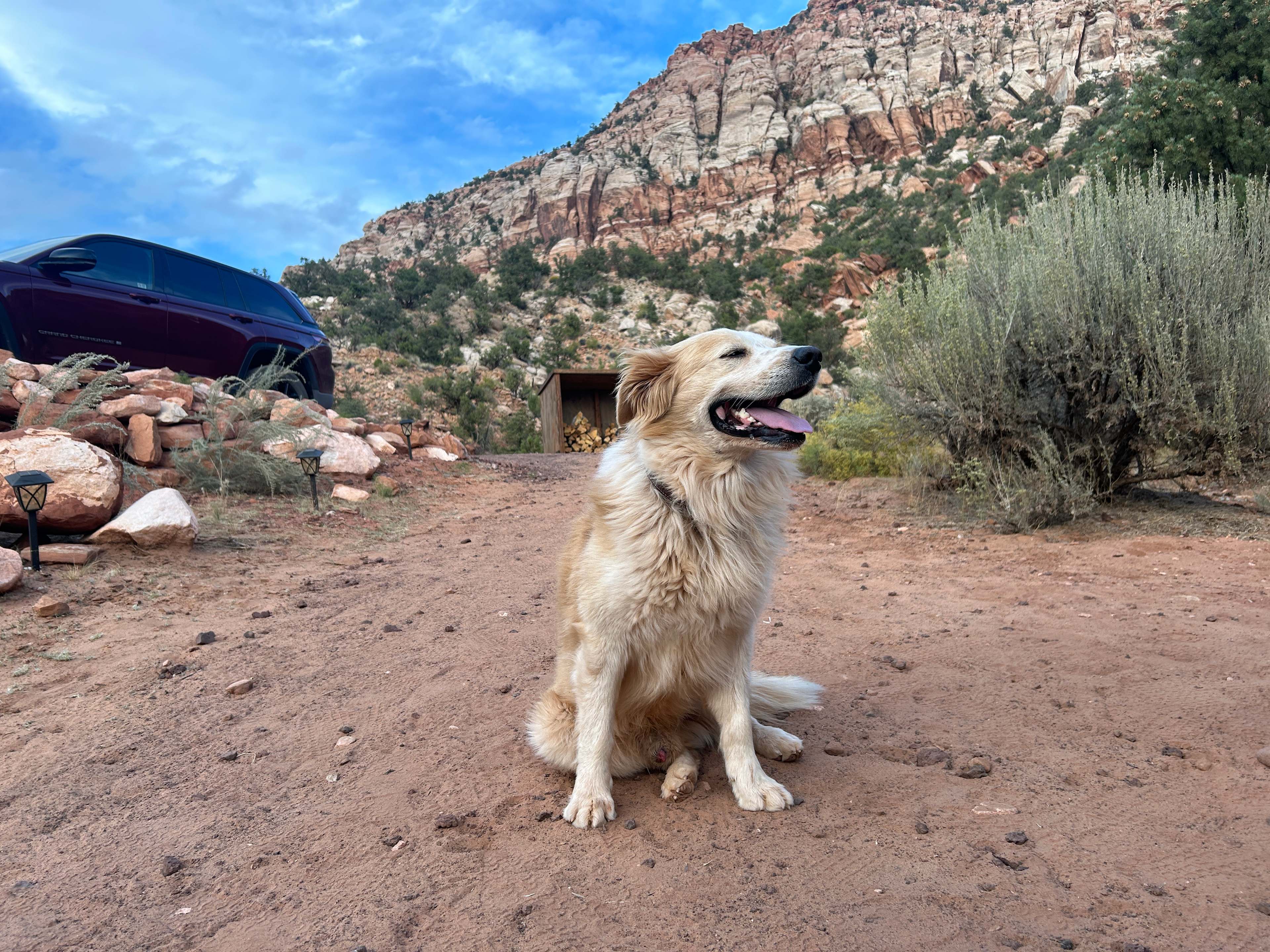 Zion View Campsite