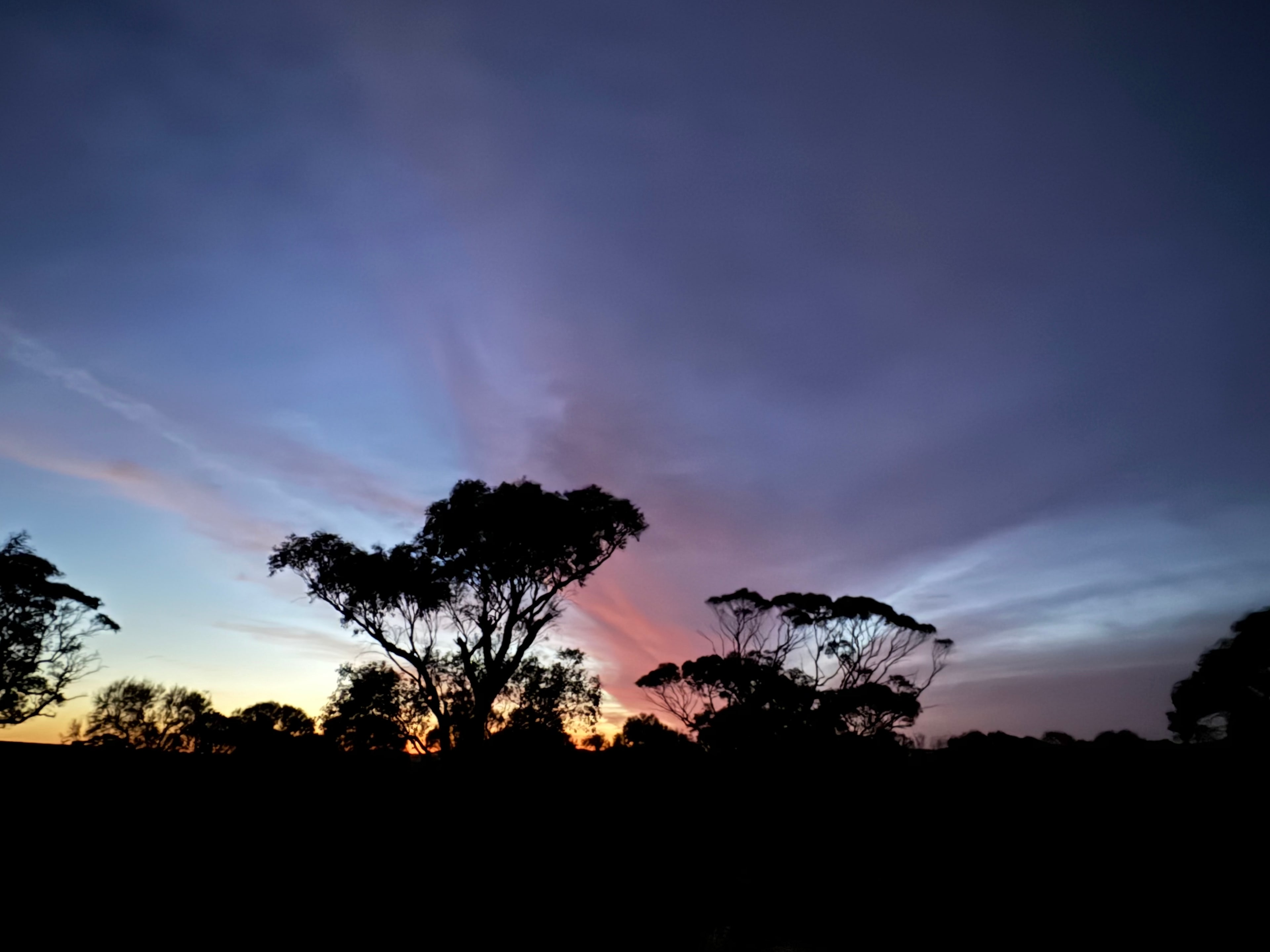 Downhill Run Camping