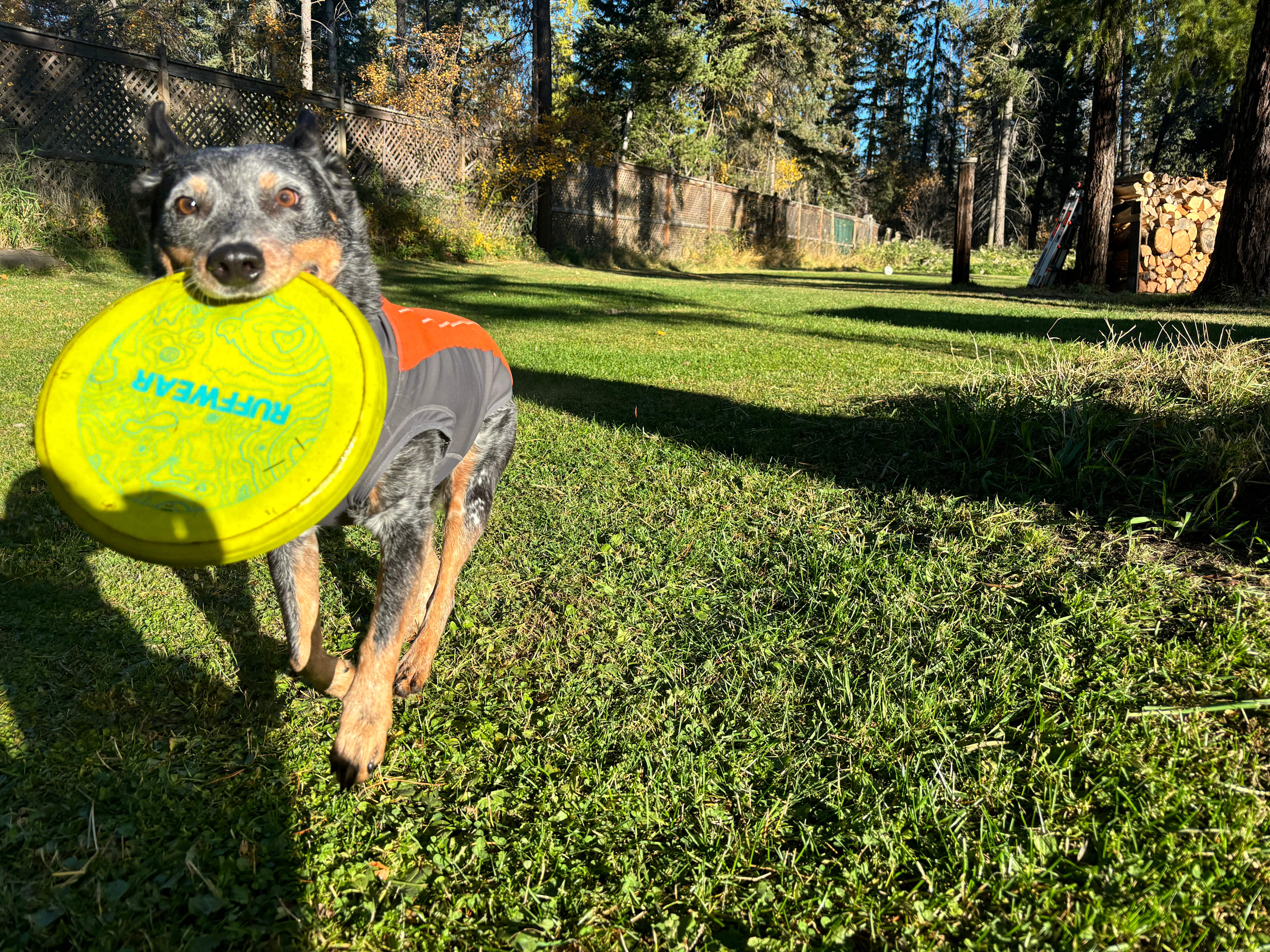 Lost Paddle and Pole
