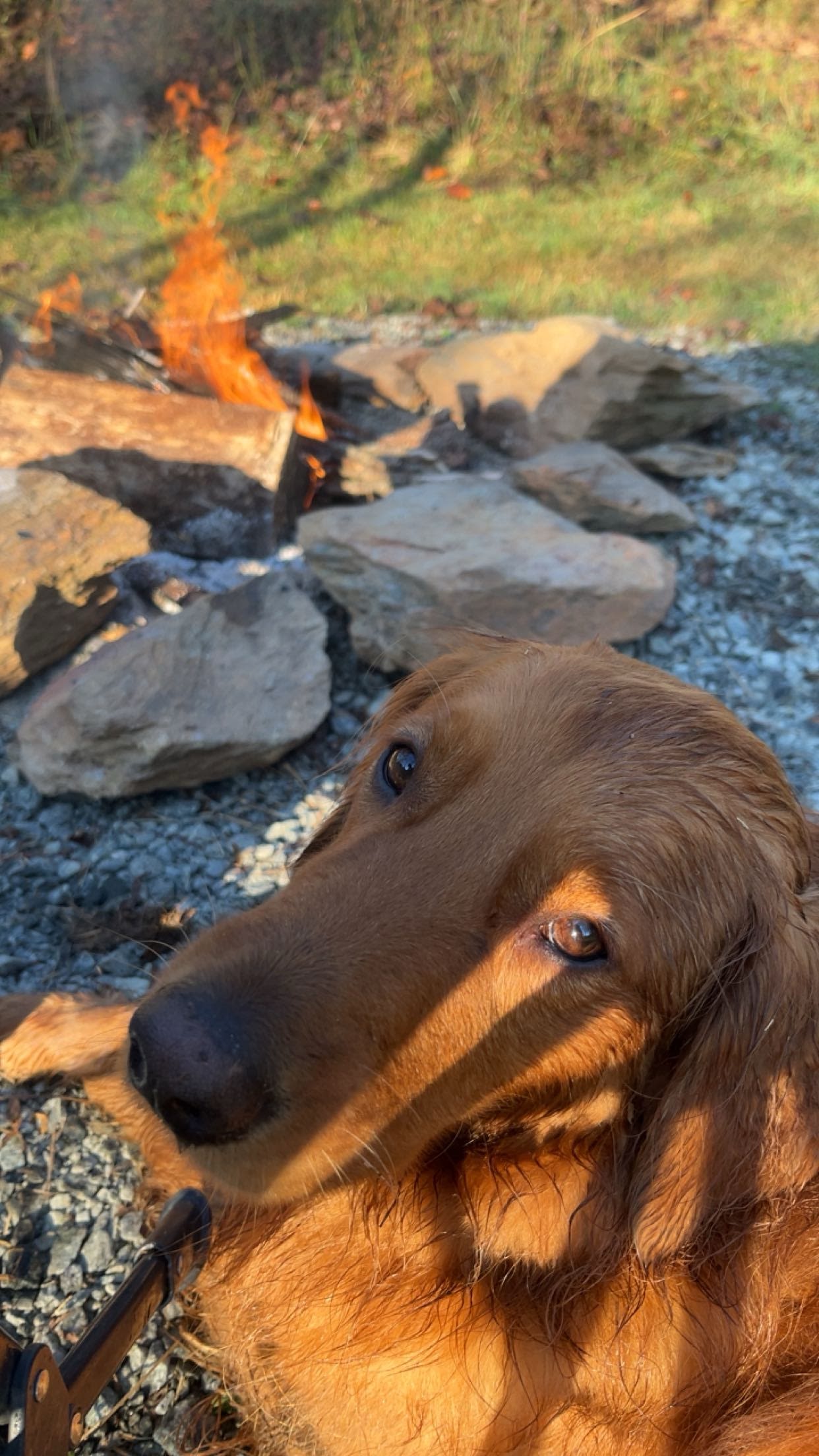 Round Peak Vineyards