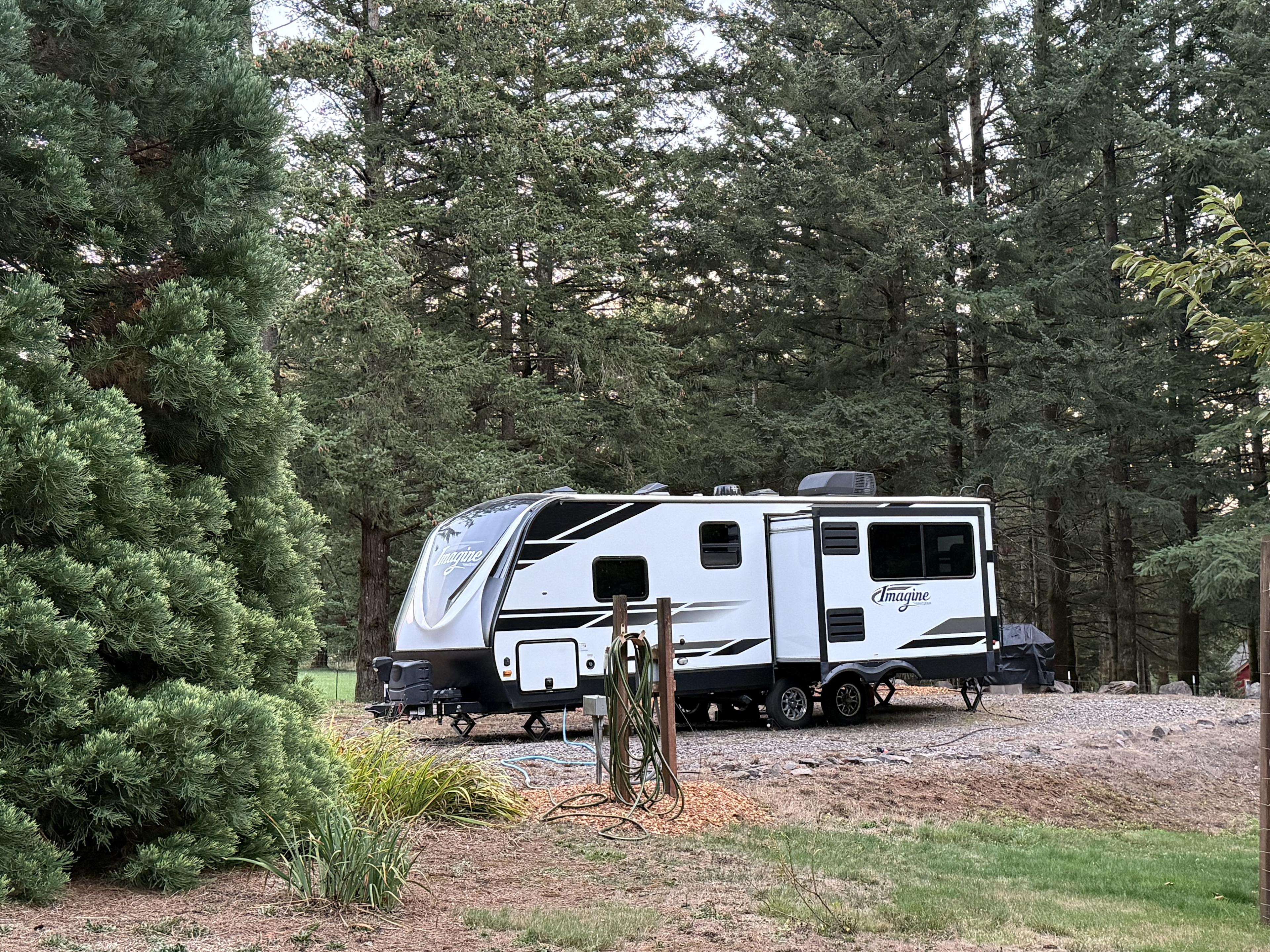 The Hummingbird Homestead