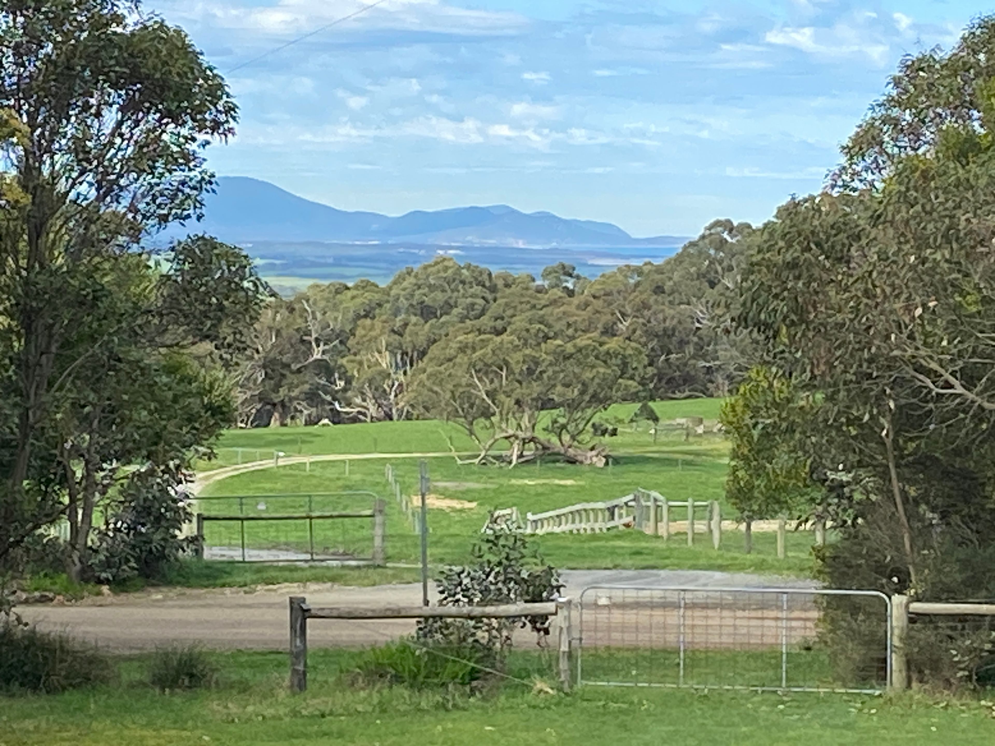 Views towards The Prom from the paddock.