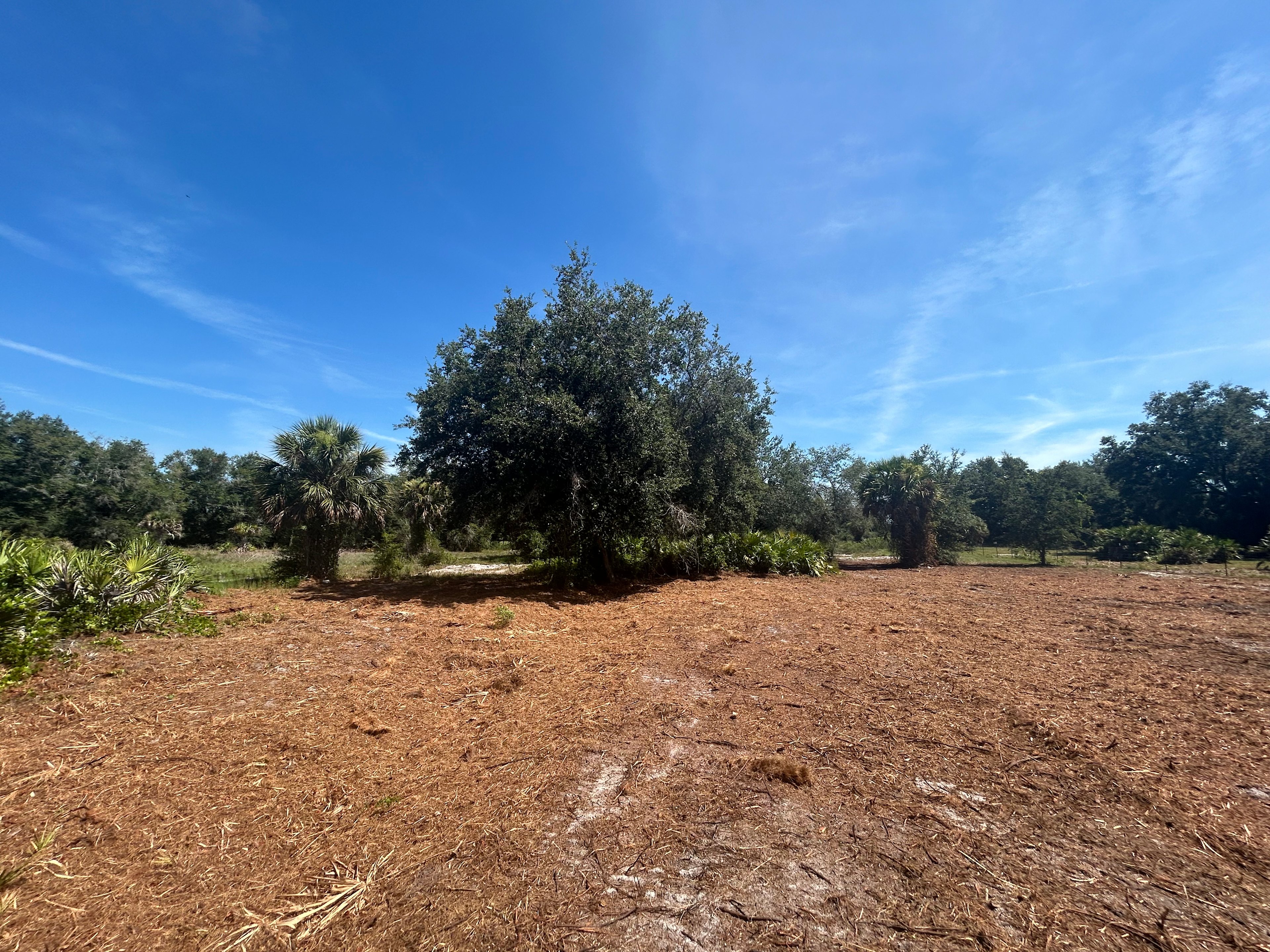 Okee Oasis