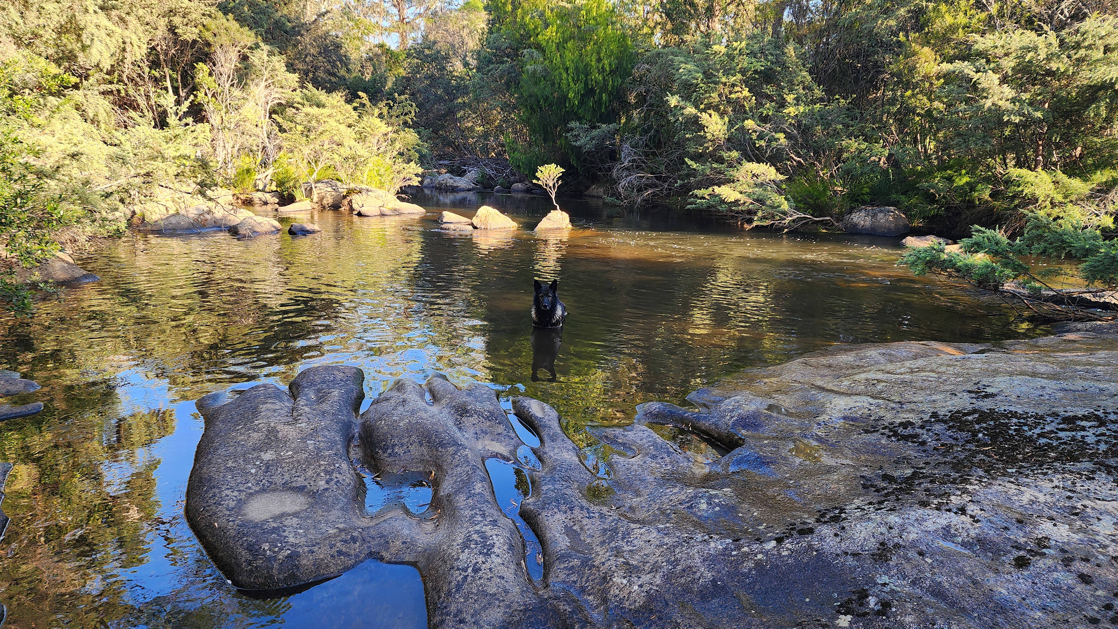 The Old Blackwood Mill