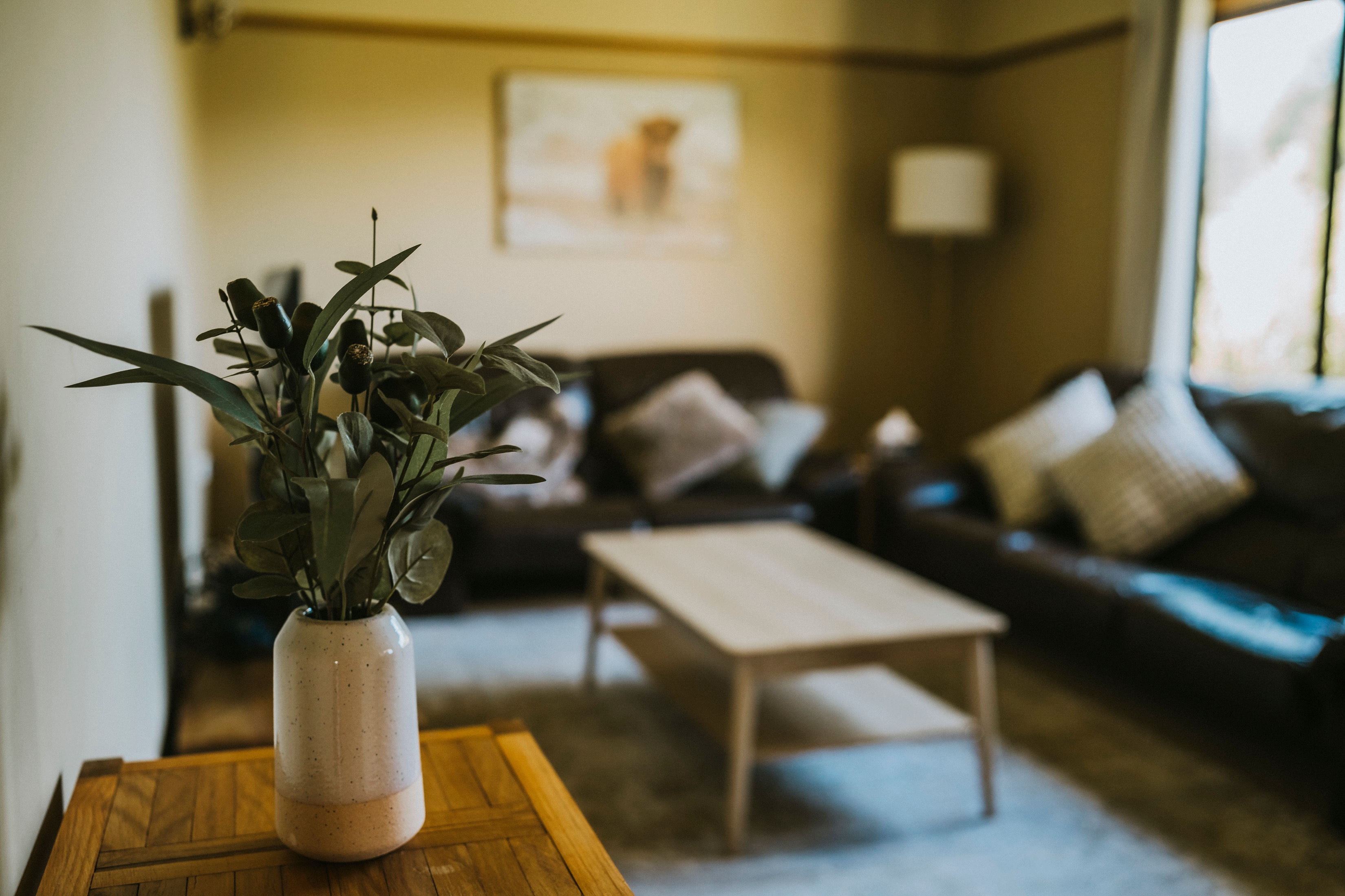 Kosciuszko Base Camp