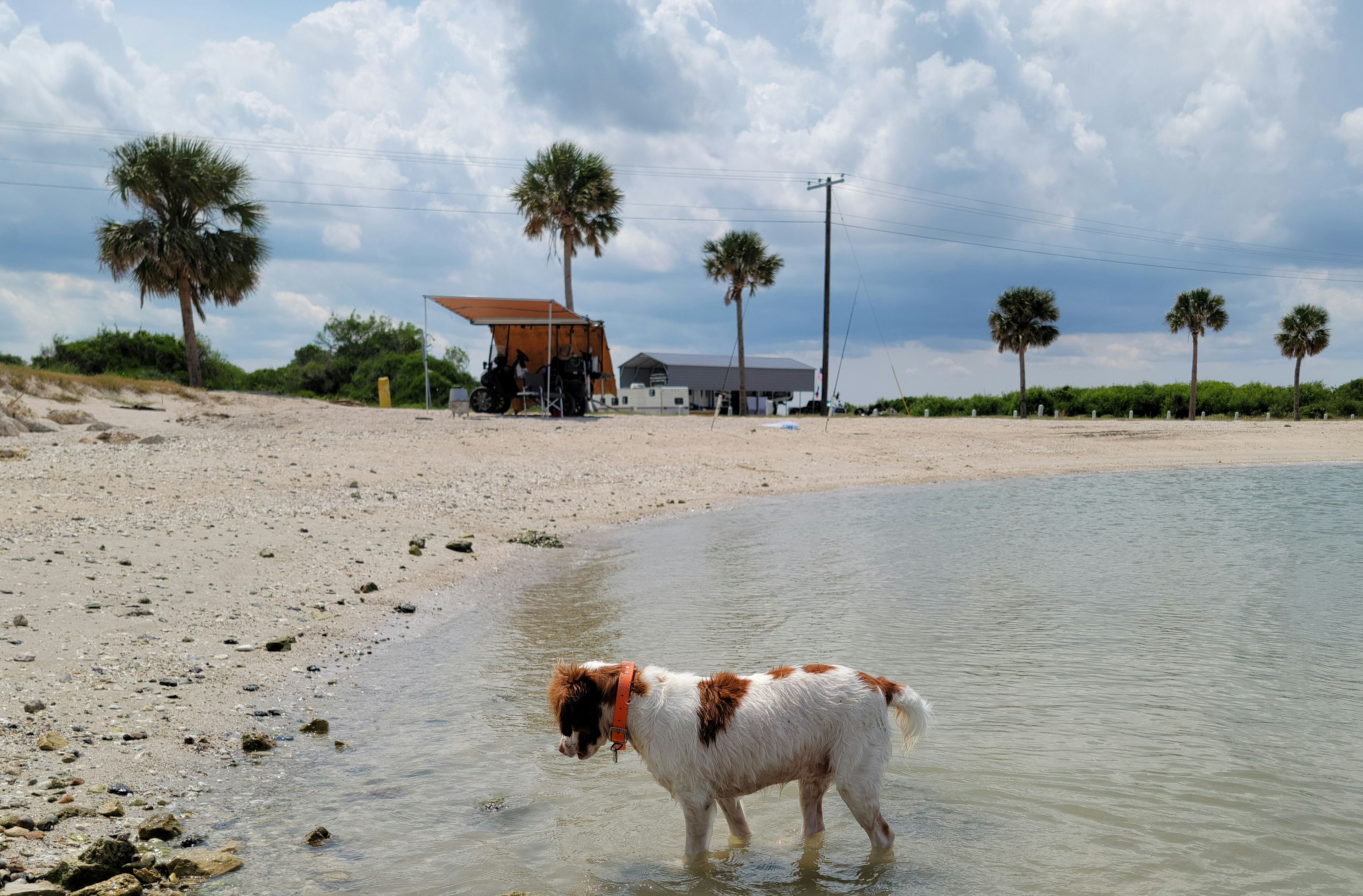 Carly's Bait And Boondocking