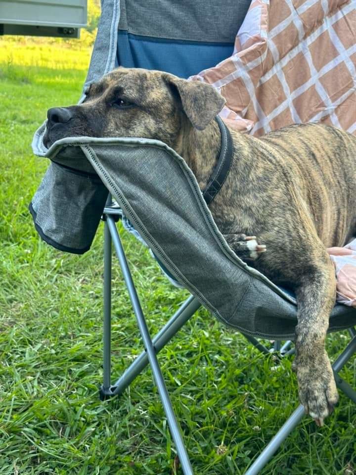 Warrazambil Creek Camp