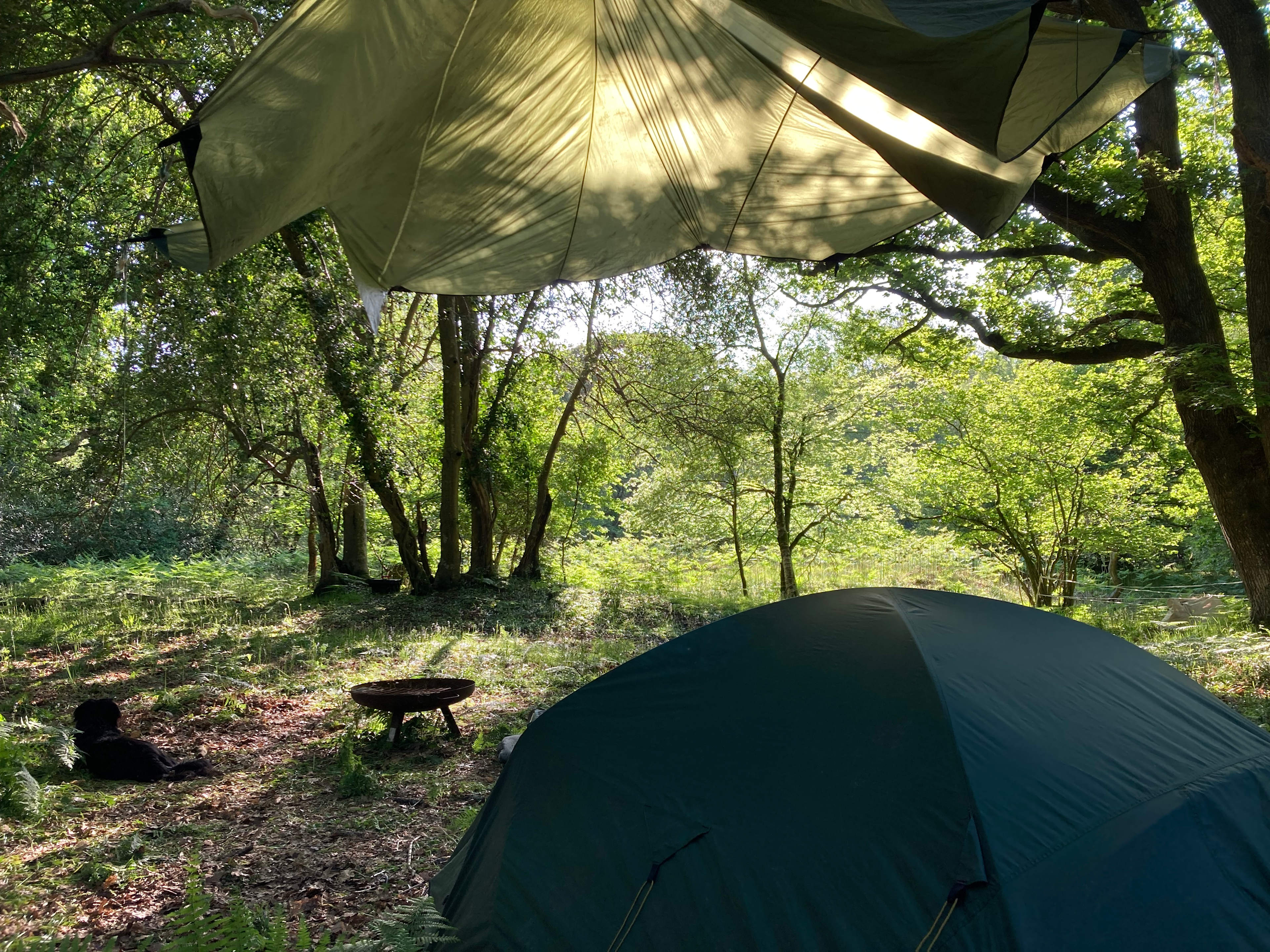 Pack Pony Wild Camp