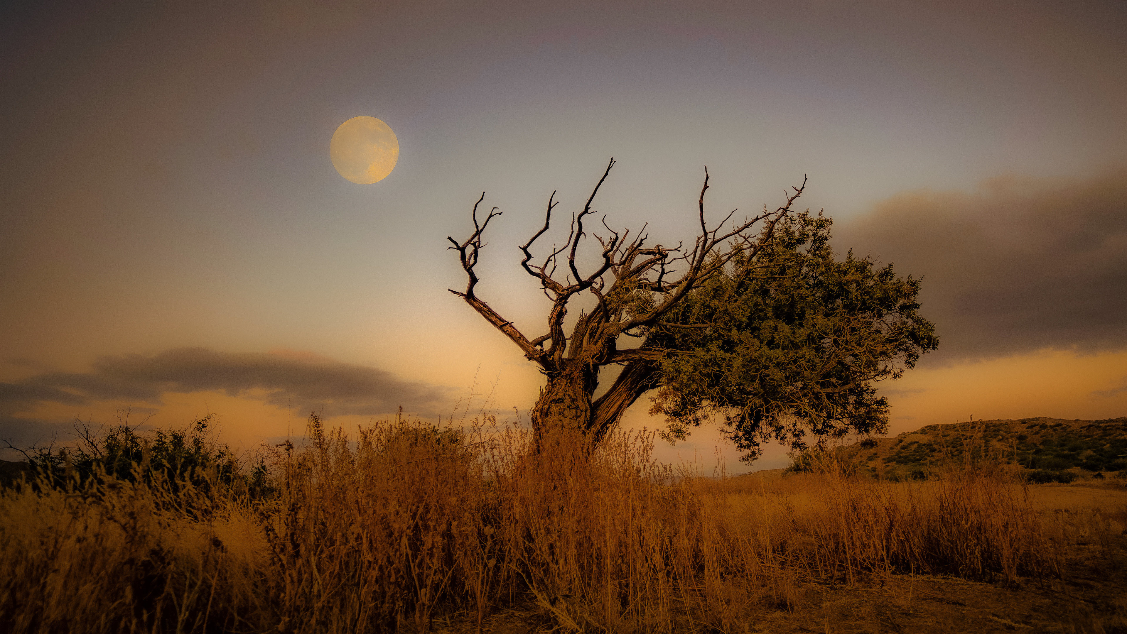 Cuyama Badlands
