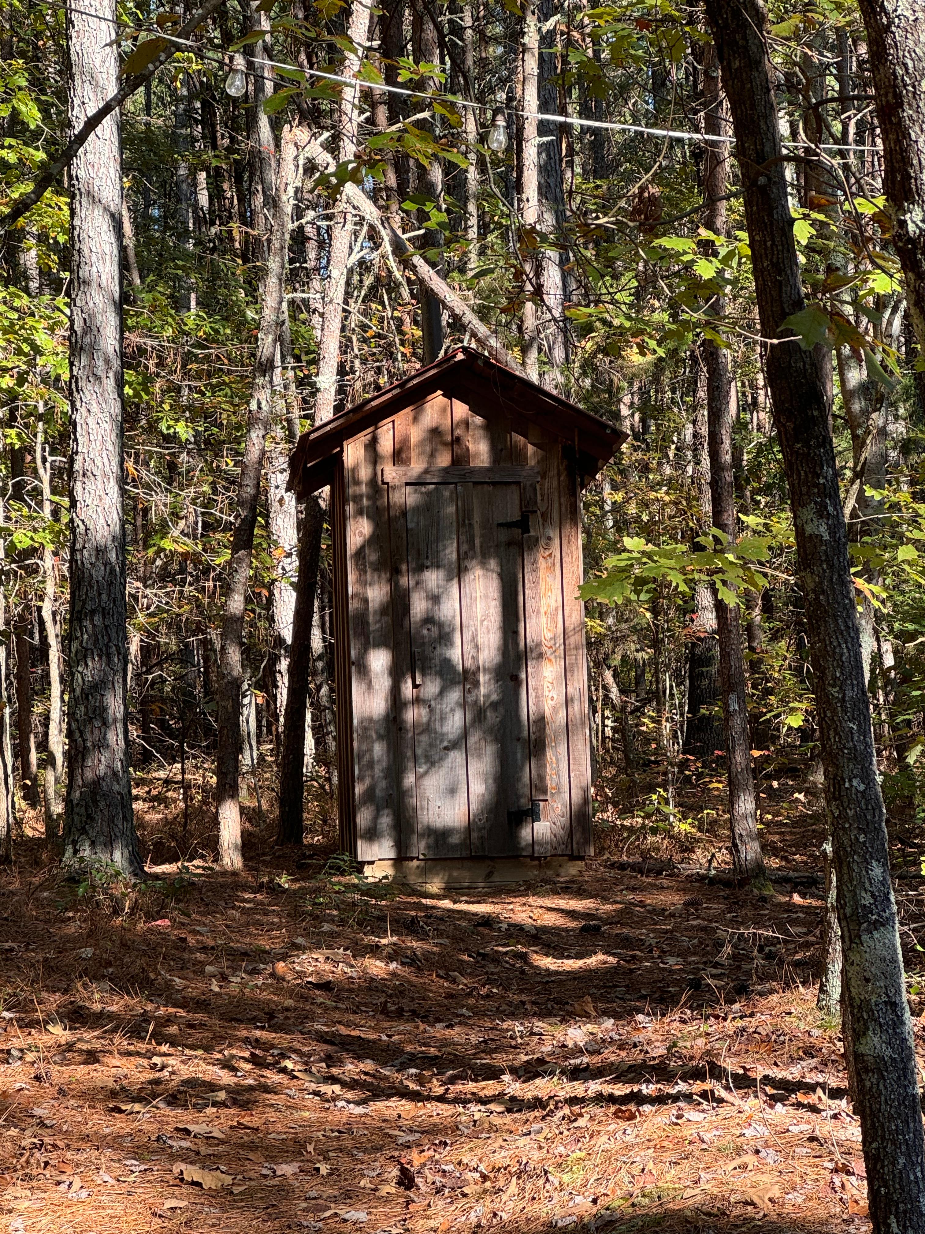 Twin Springs Tiny House