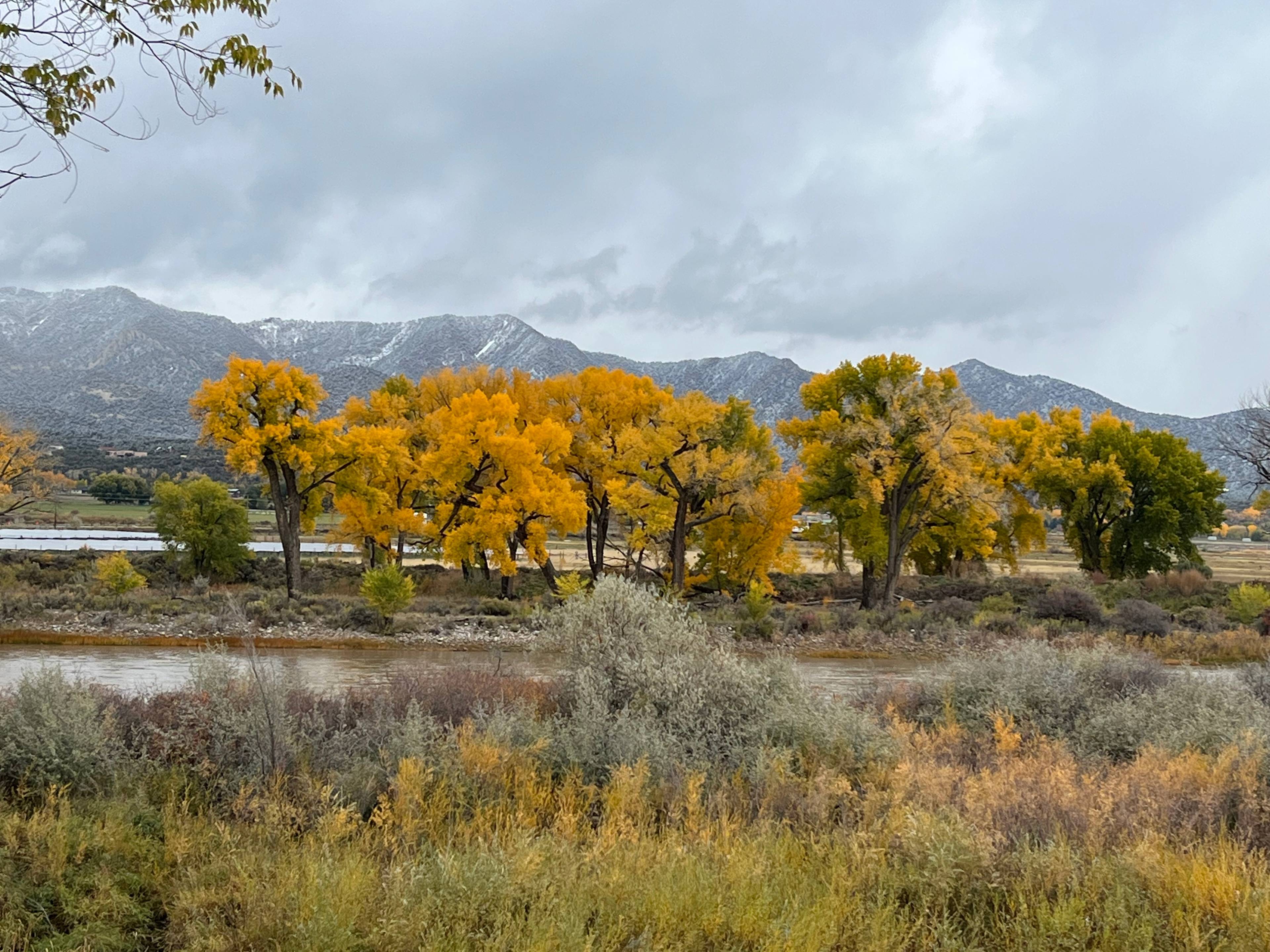 River watch on the Colorado