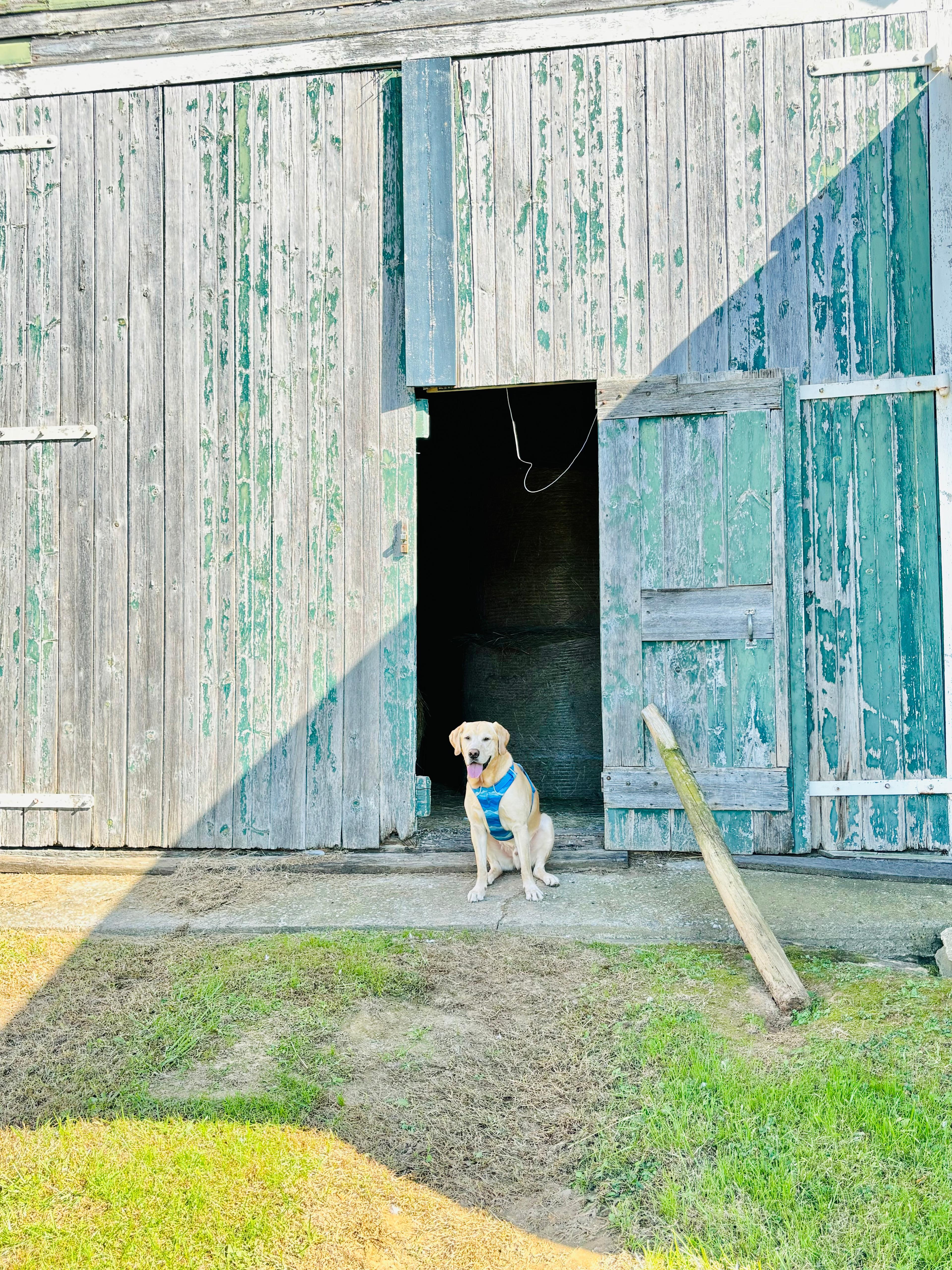 About Tyme Farm