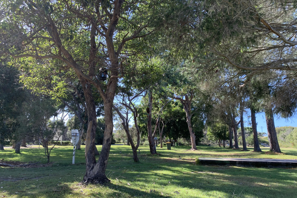 Camp Elim