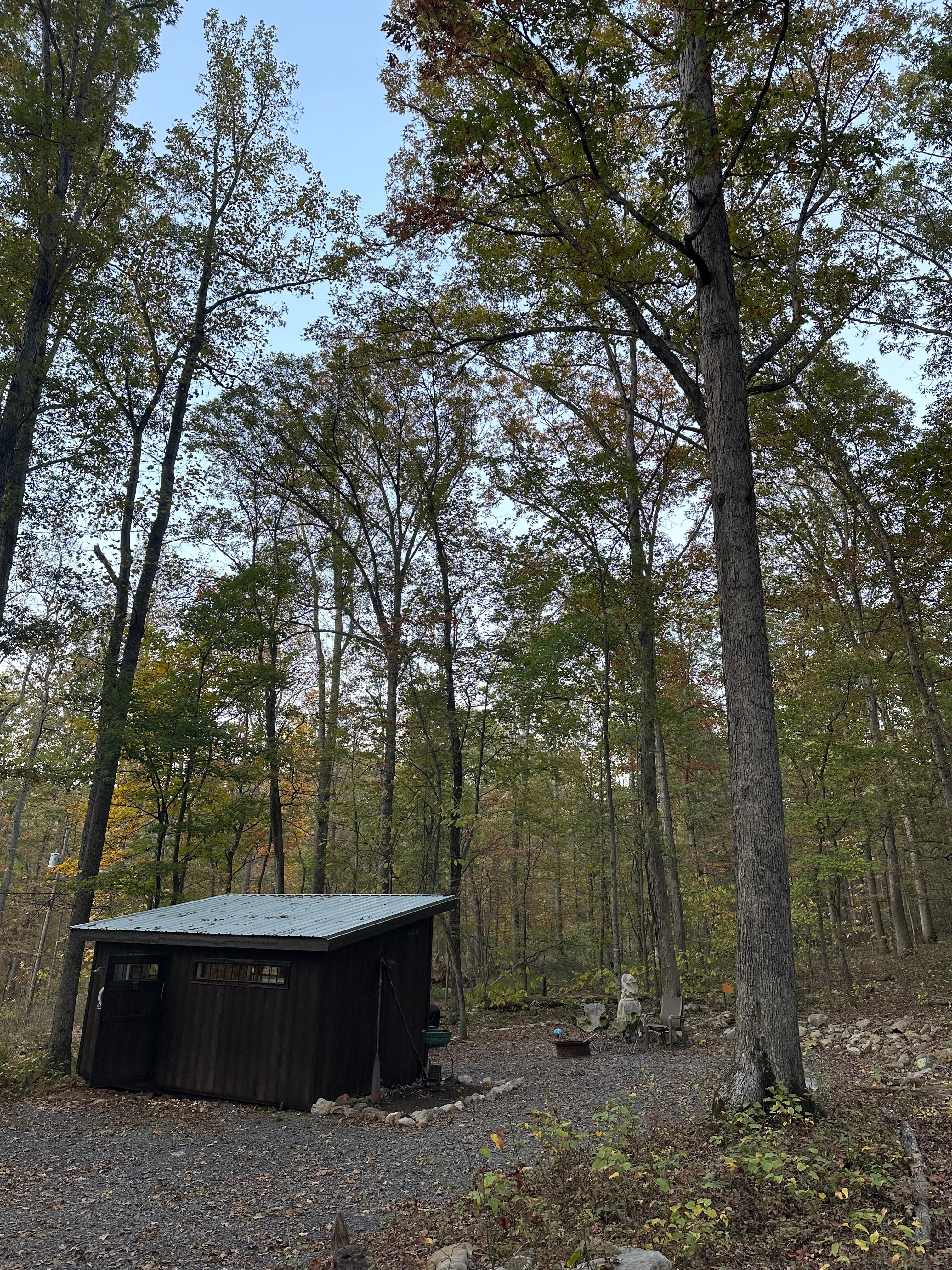 The Byrd's Nest on the River