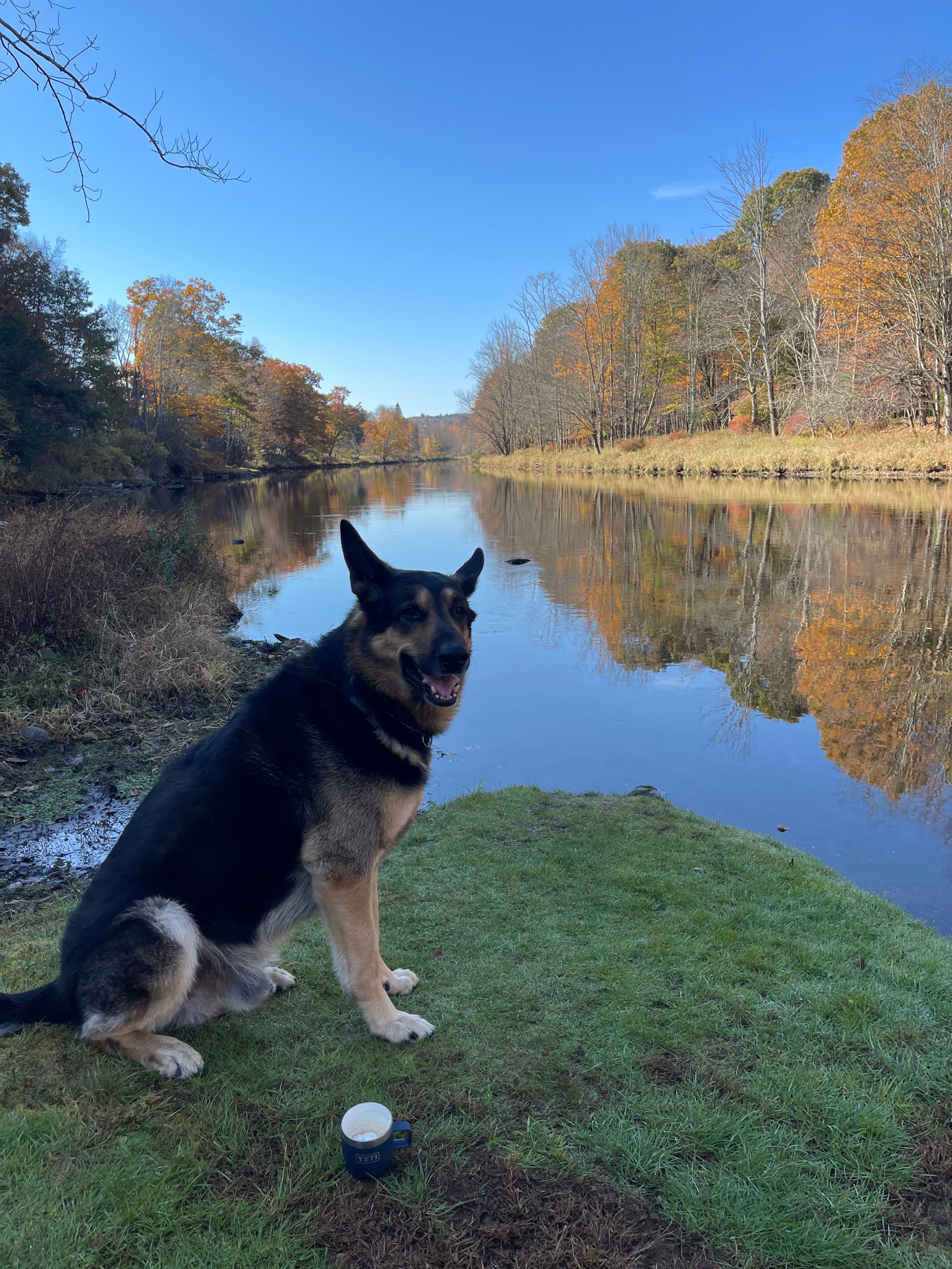 The Neversink River Isle