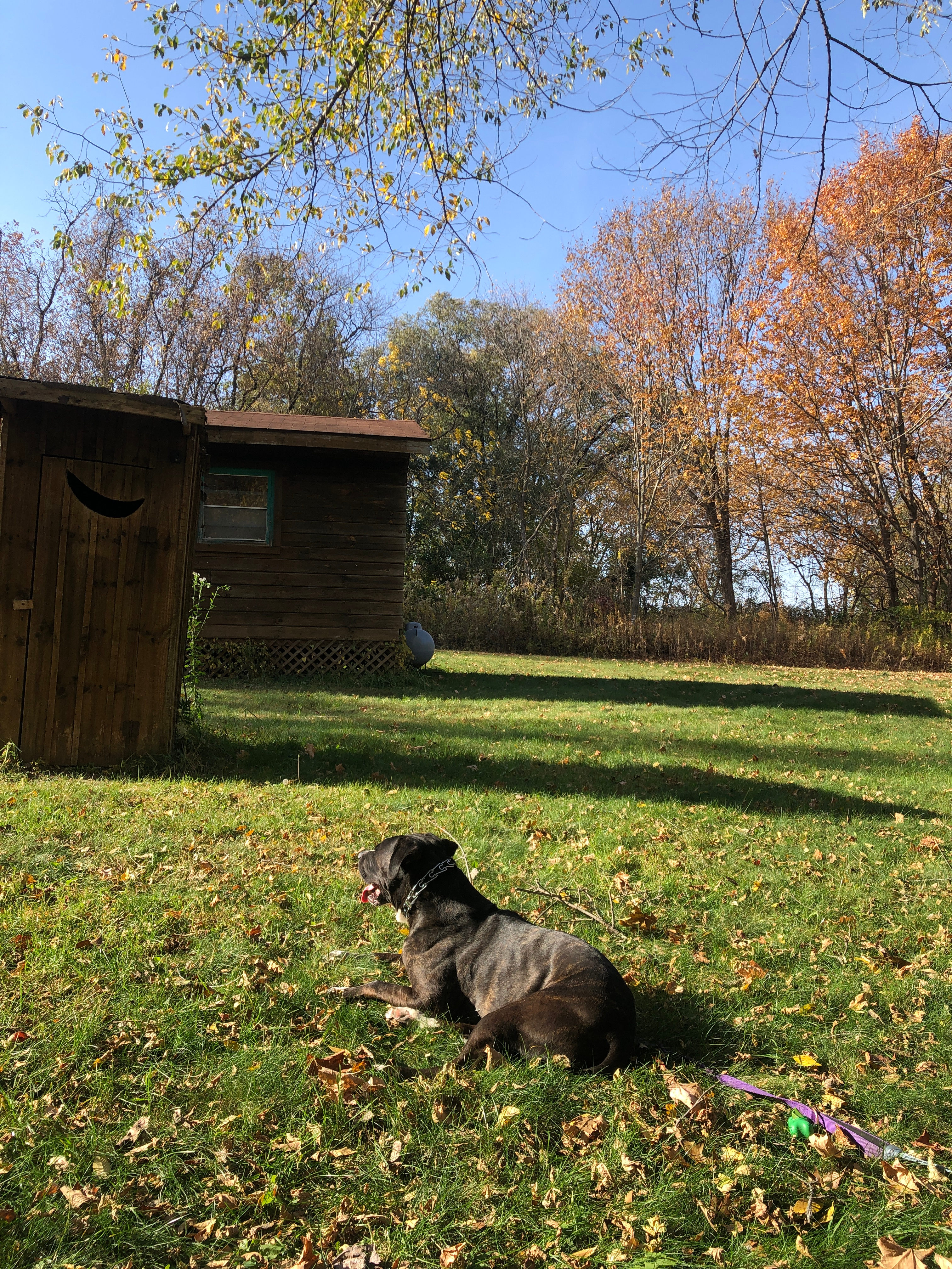 Driftless Retreat 🍃 🎶 📚