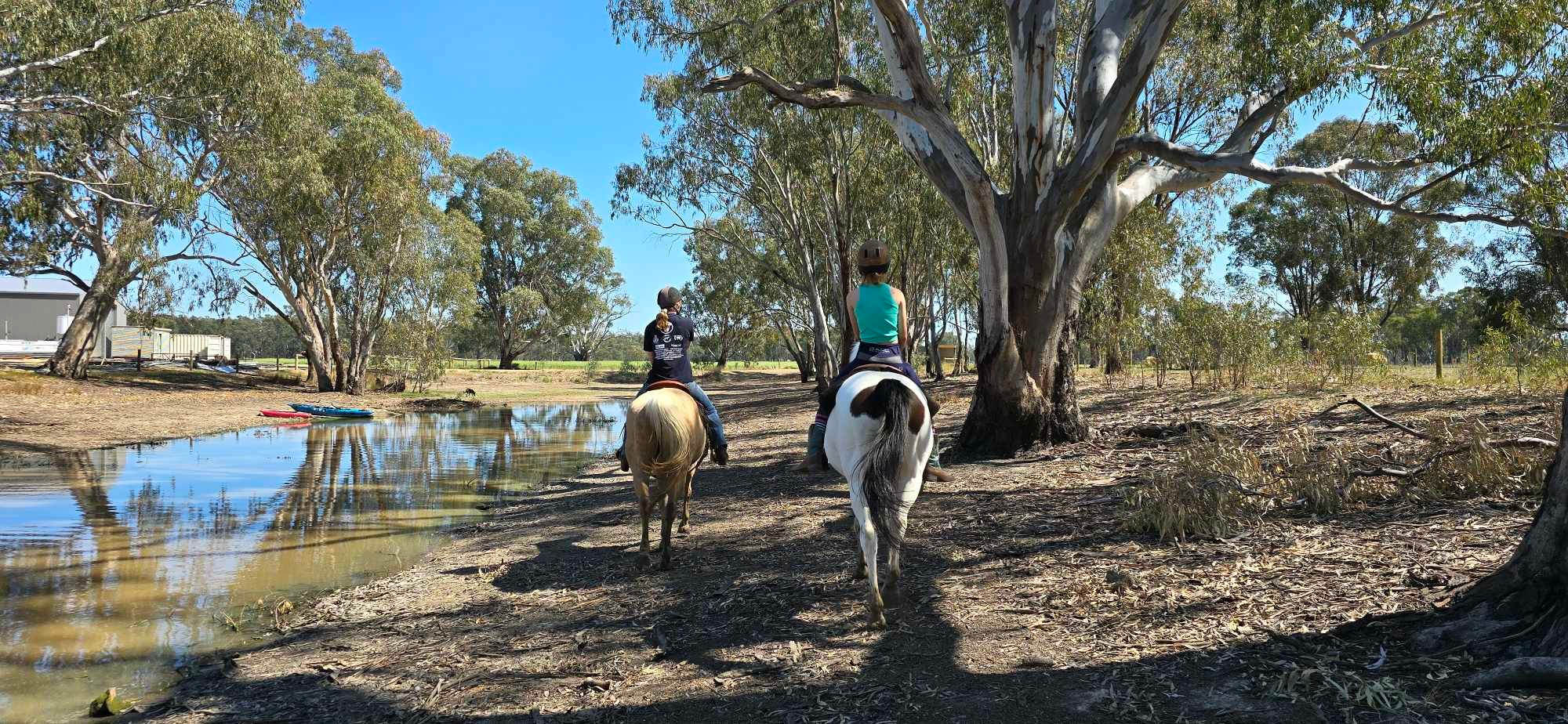 Endless horse trails .... 