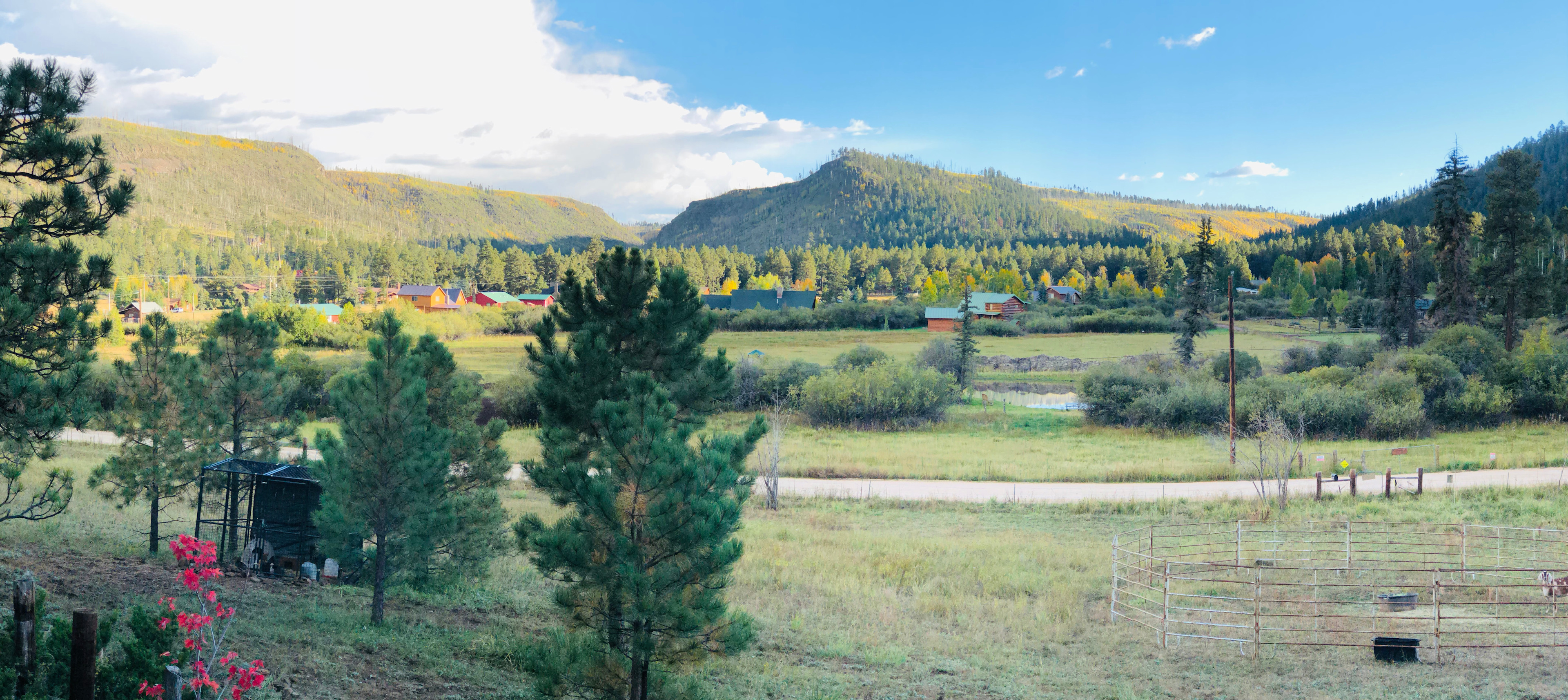 Meadowdust Ranch LLC