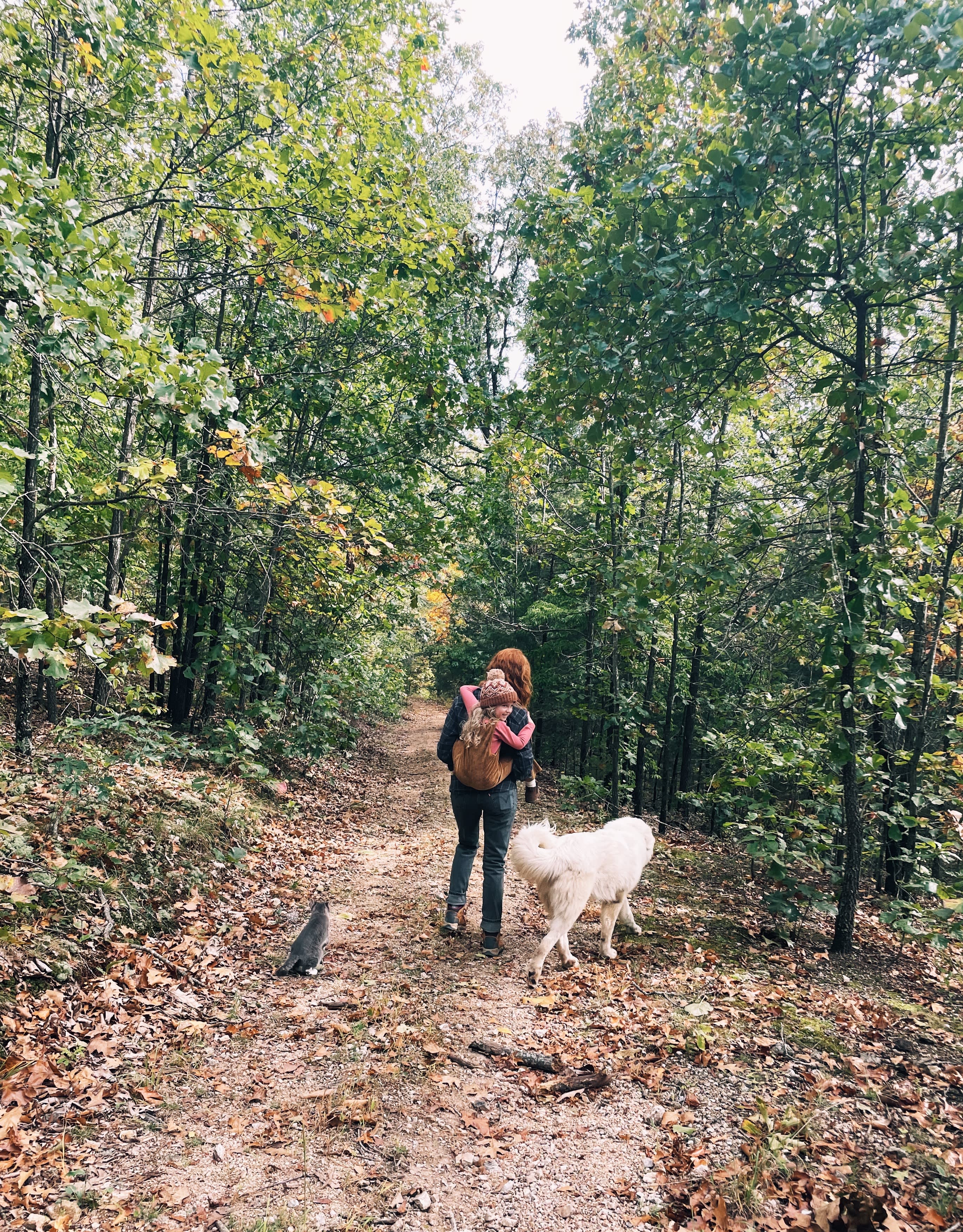 Wildflower Camp, Hike + Swim