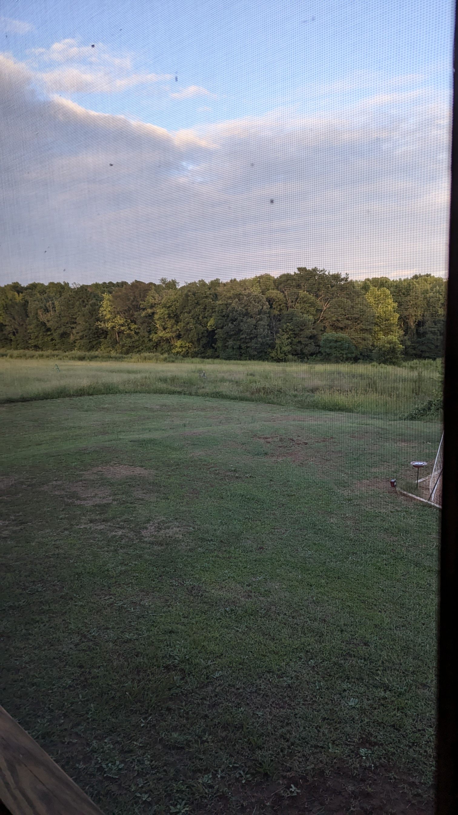 Hidden Crick Farms