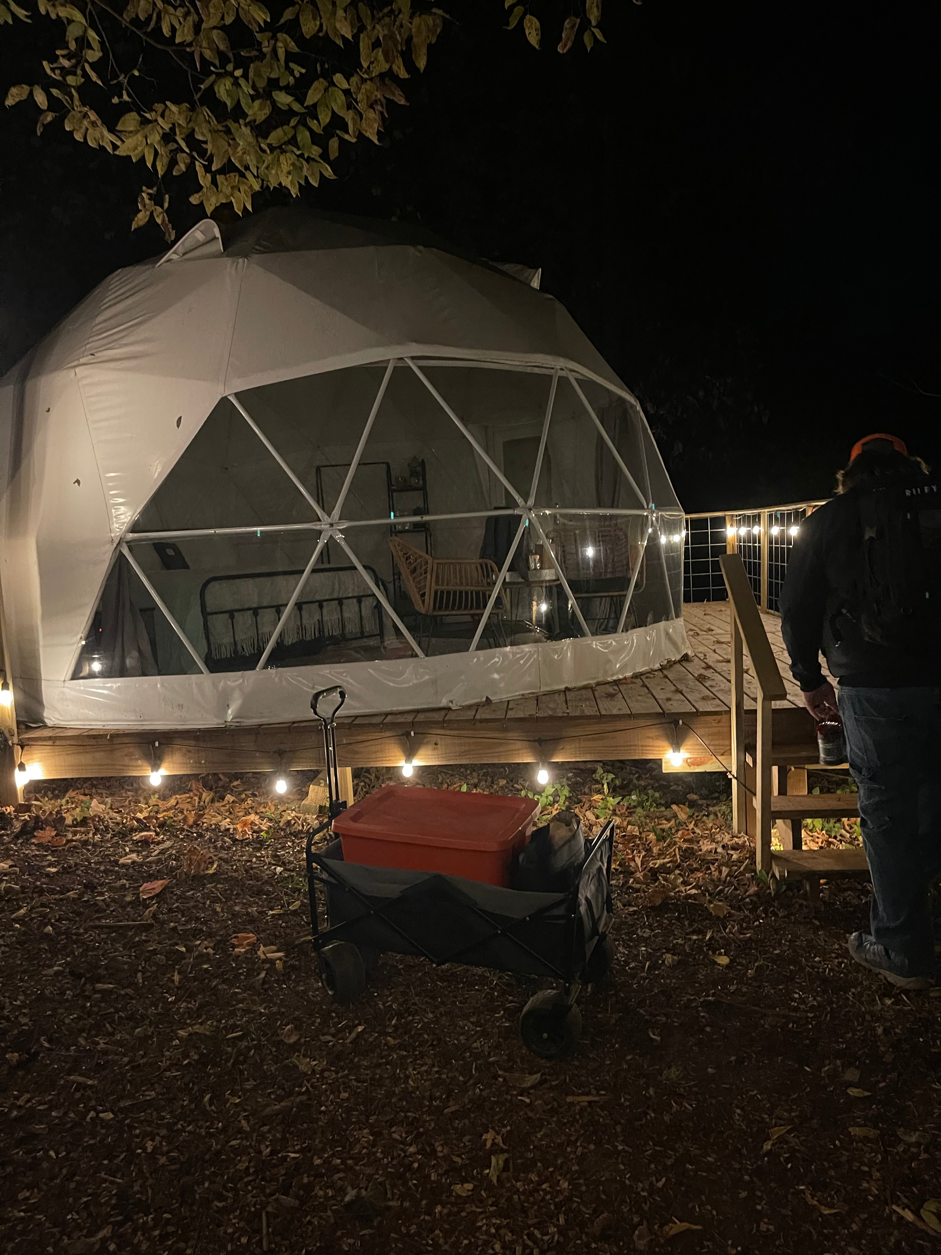 Geo-dome Glamping