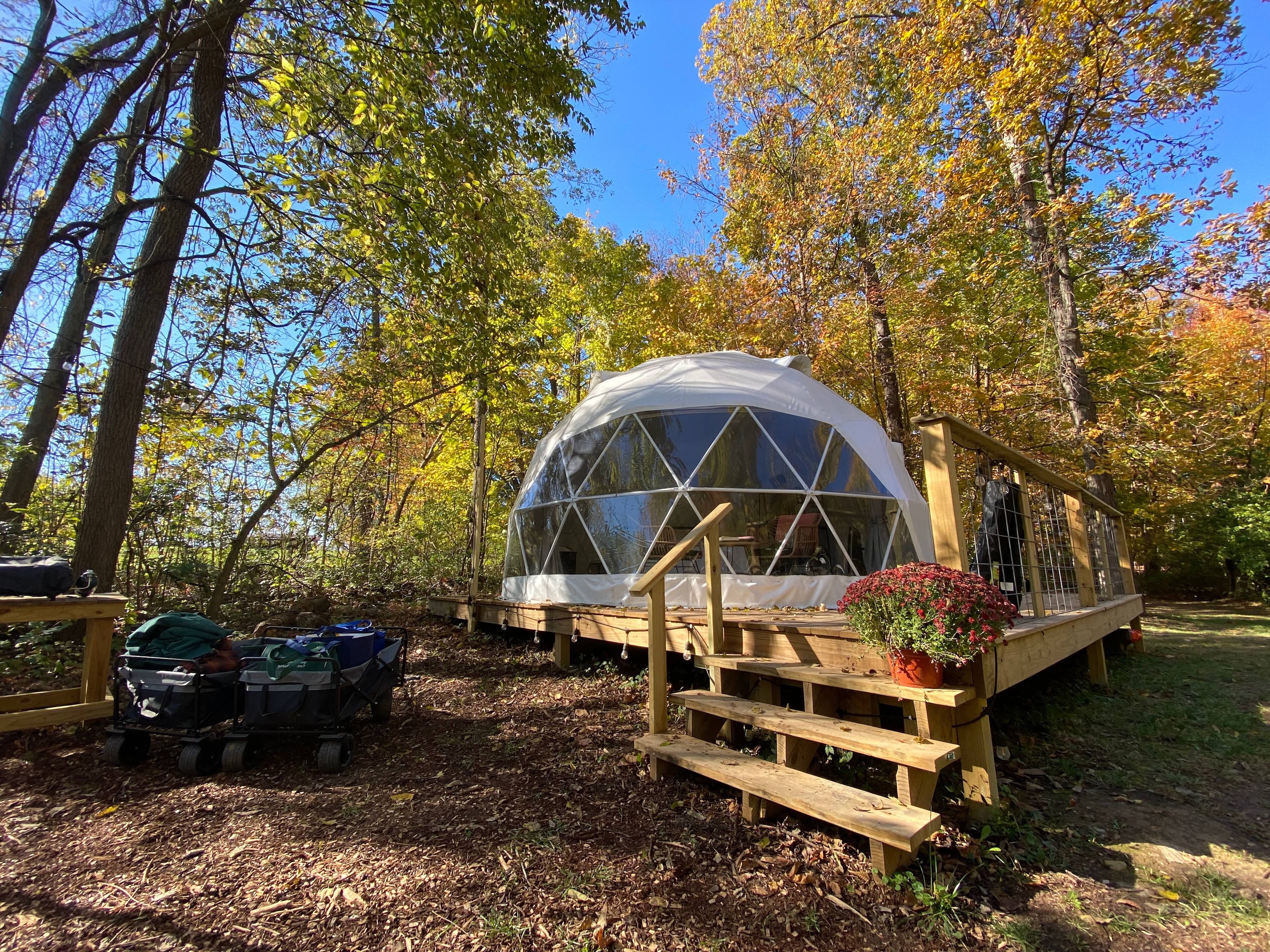 Geo-dome Glamping