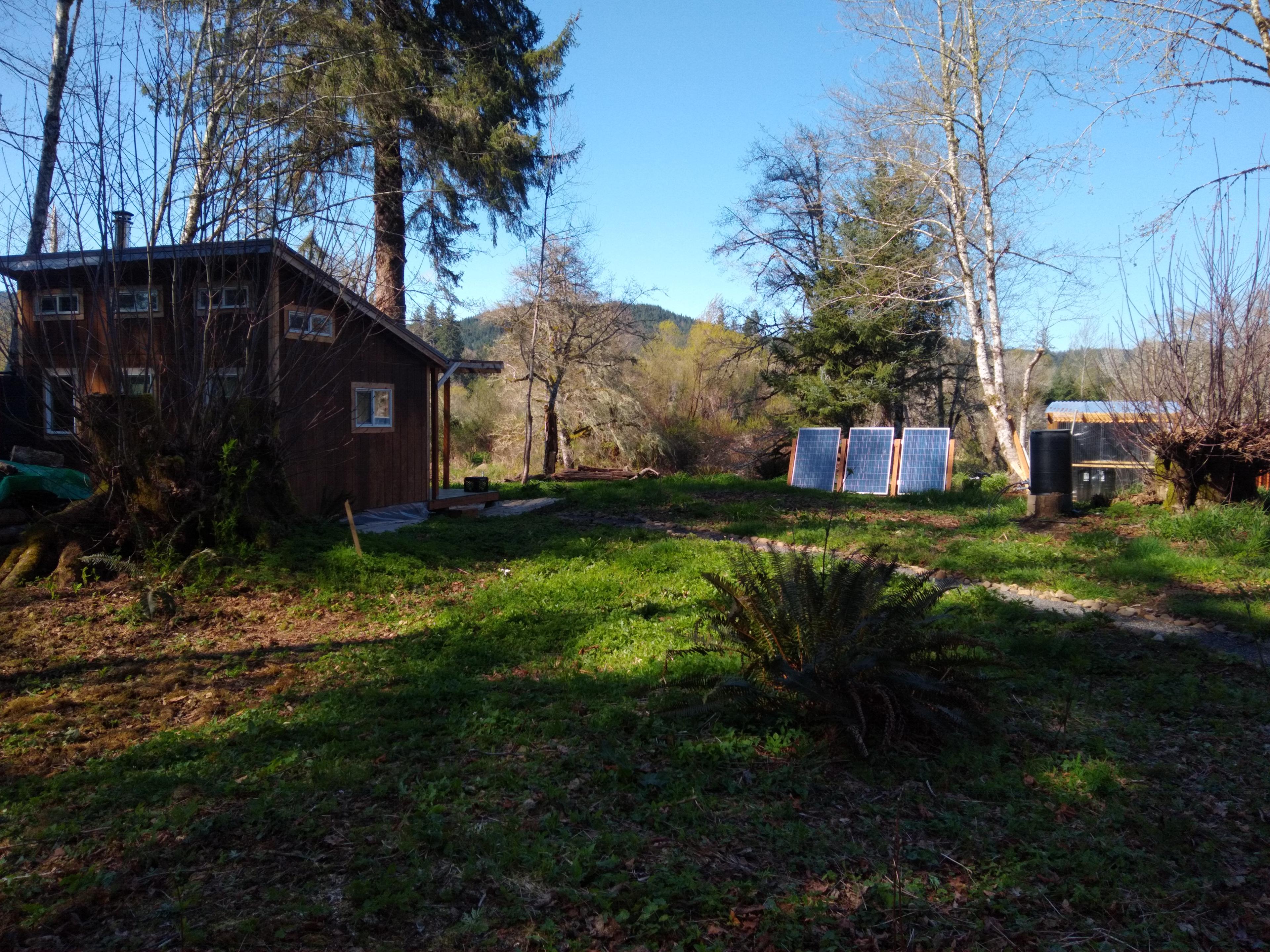 Nehalem River Overlook