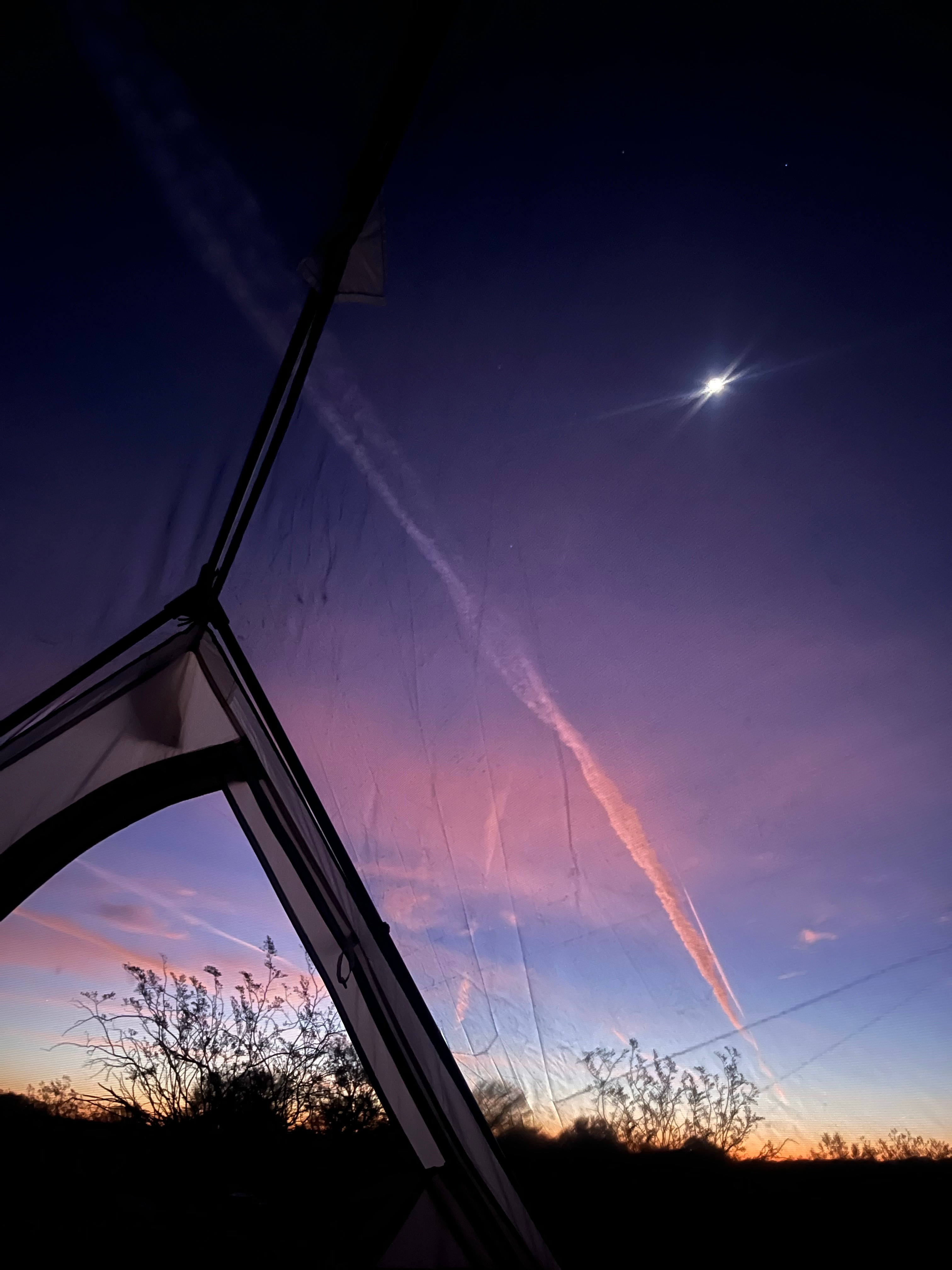 Cactus Forest Campground Boondock