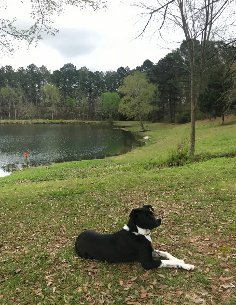 Wendy Oaks RV Resort