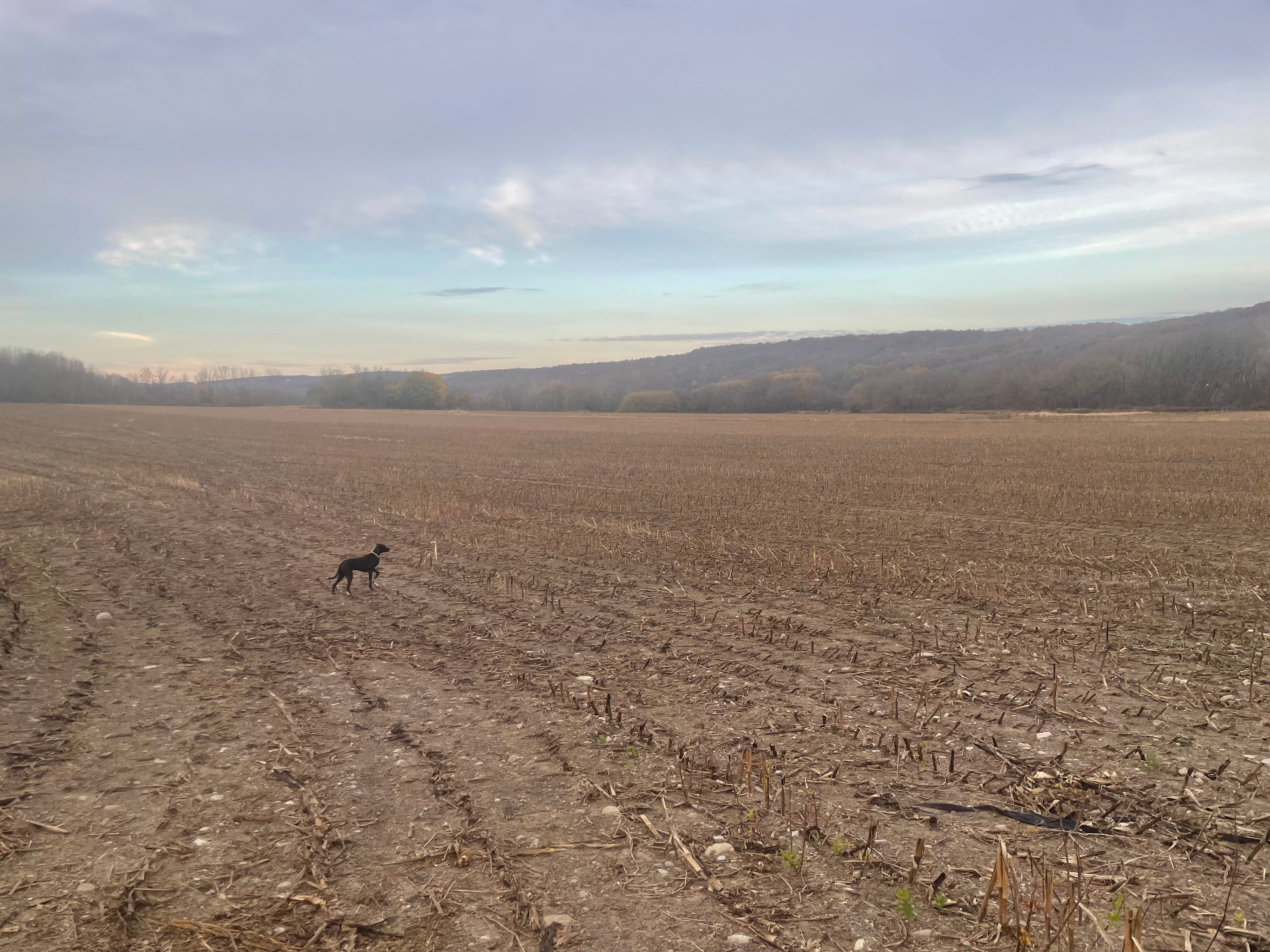 Little Valley