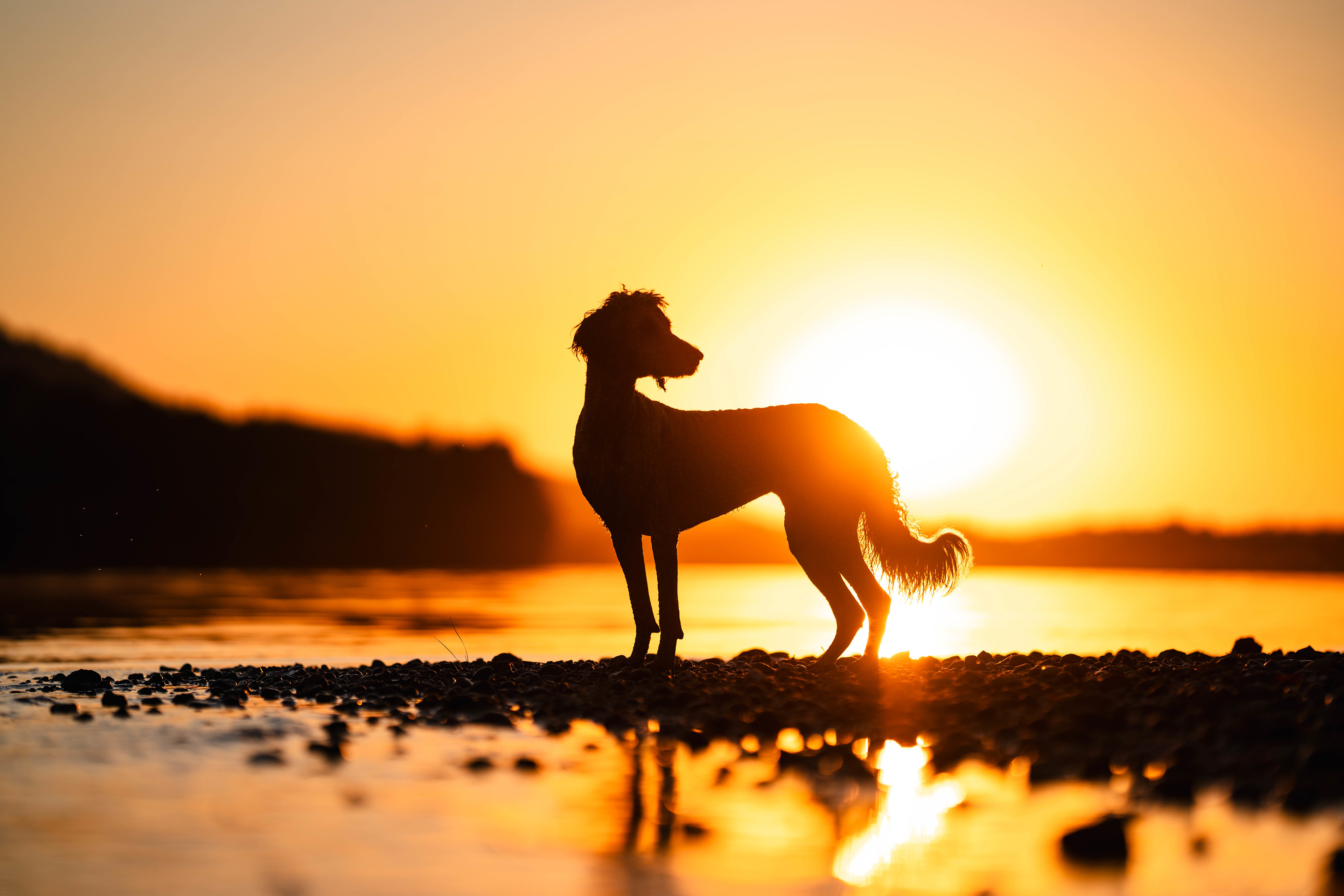 Serene Lakefront Retreat