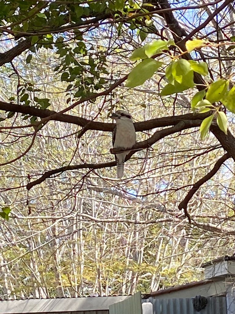 Devine Retreats Moore